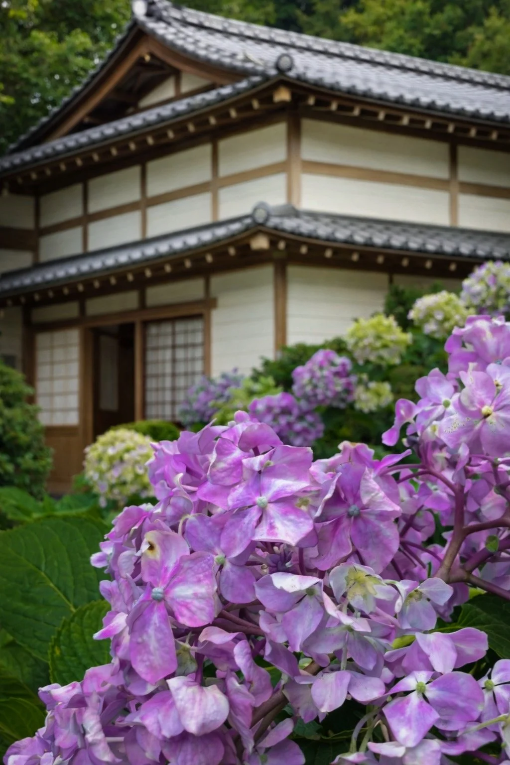 Edit 31: Chasing Flowers