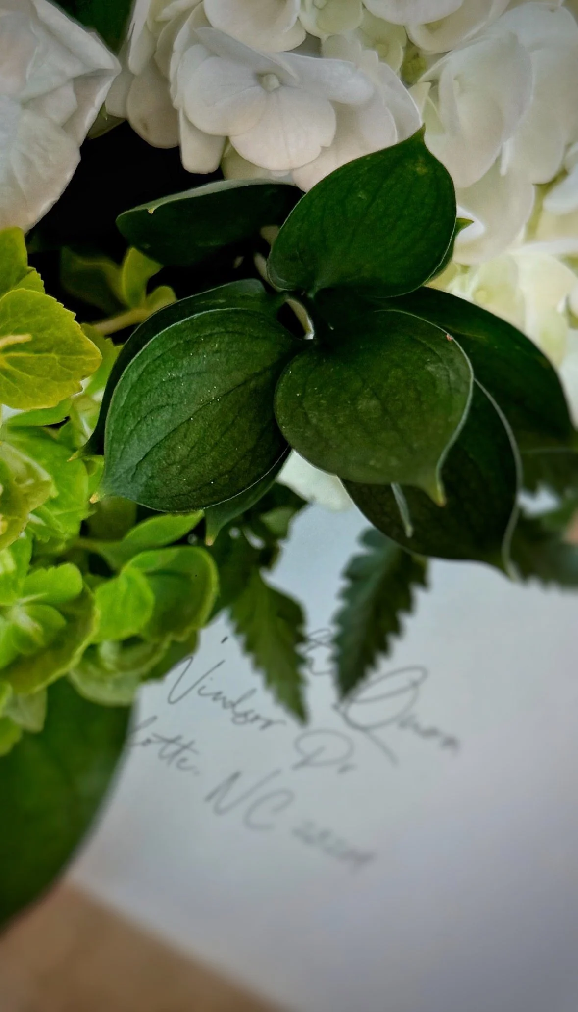 Edit 37: On Adult Friendships: Seasons and Serendipity