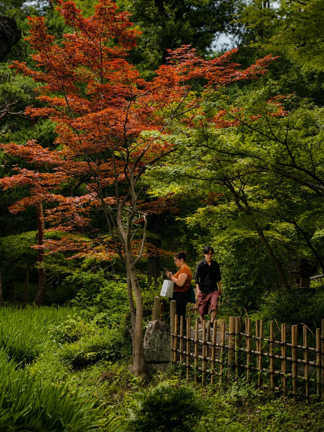 D9325BD8-B561-4586-9ABD-CC88ED148CDA.jpeg