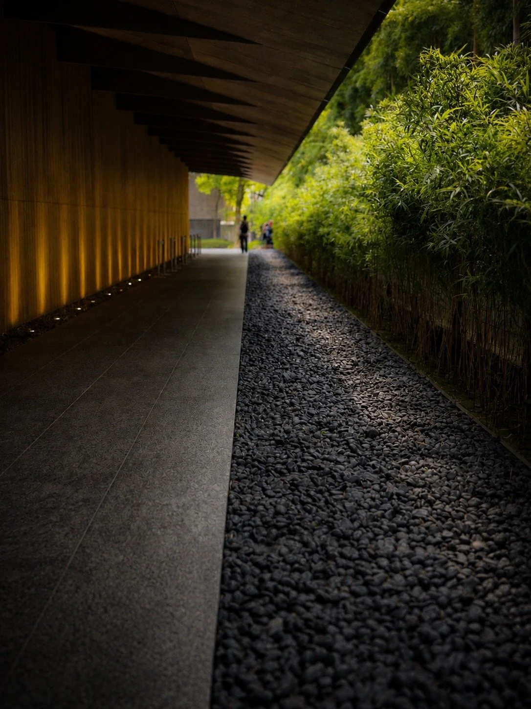 Edit 53: The Art of Noticing