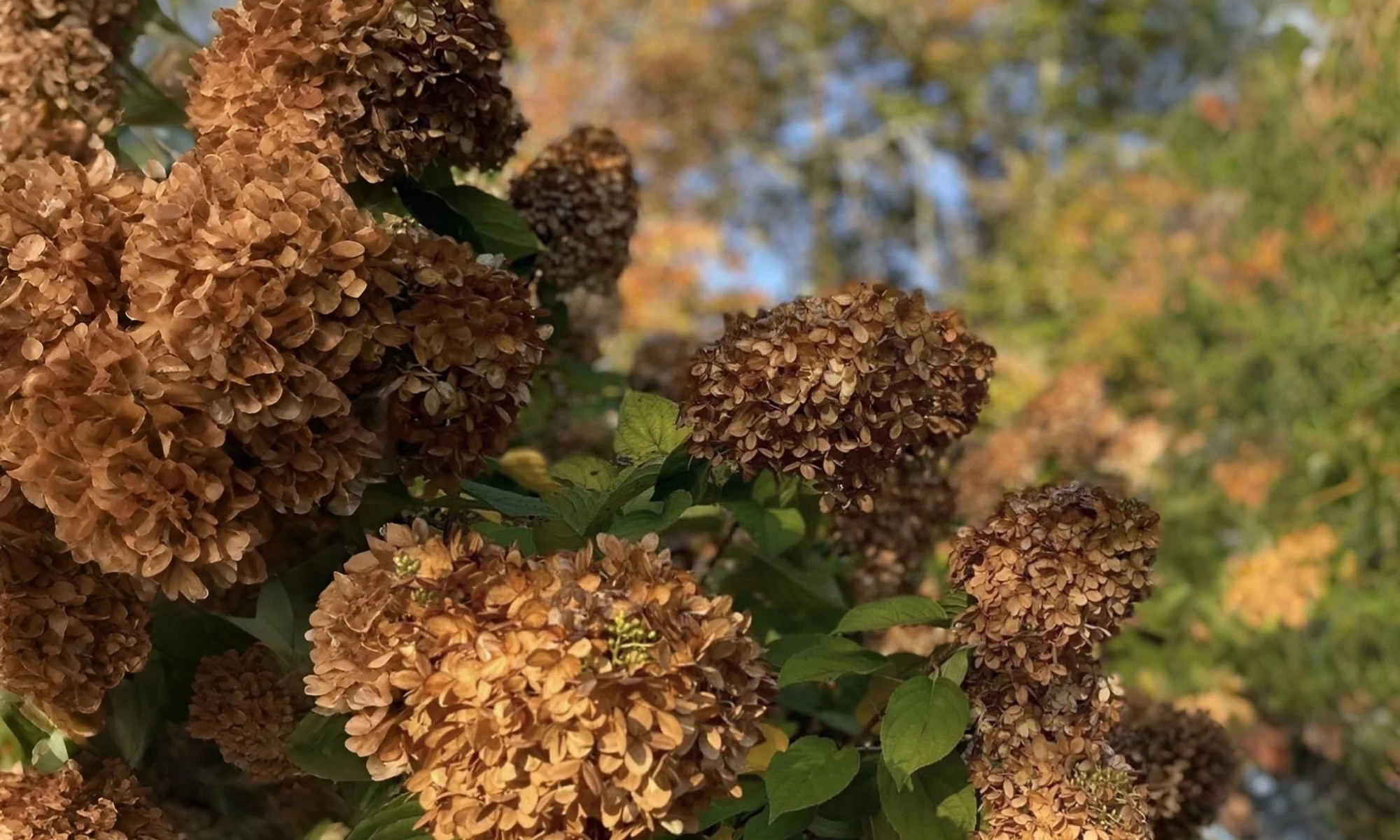 Edit 61: Seasons of Change