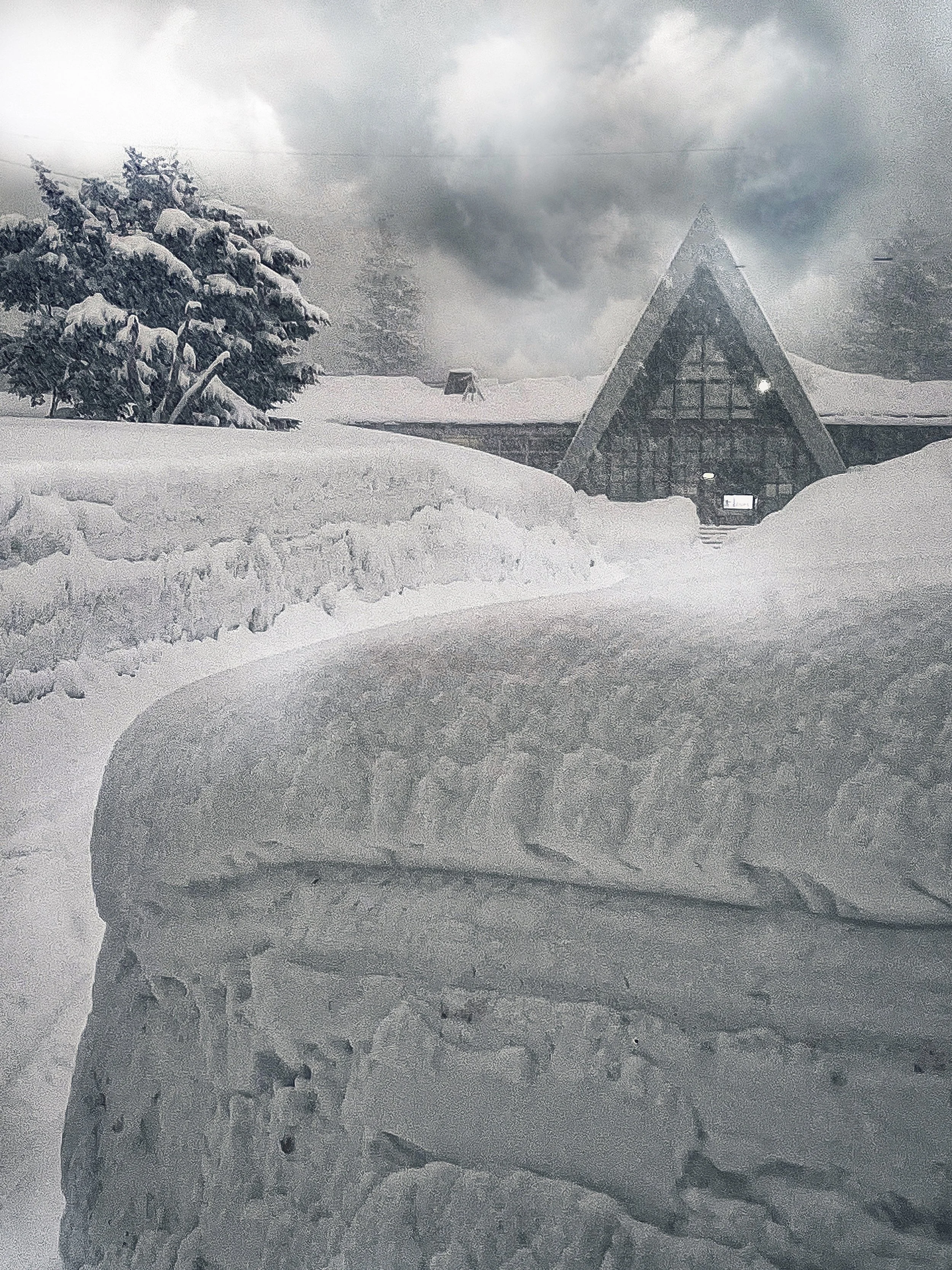 IMG_R_0029 3.JPG.jpg