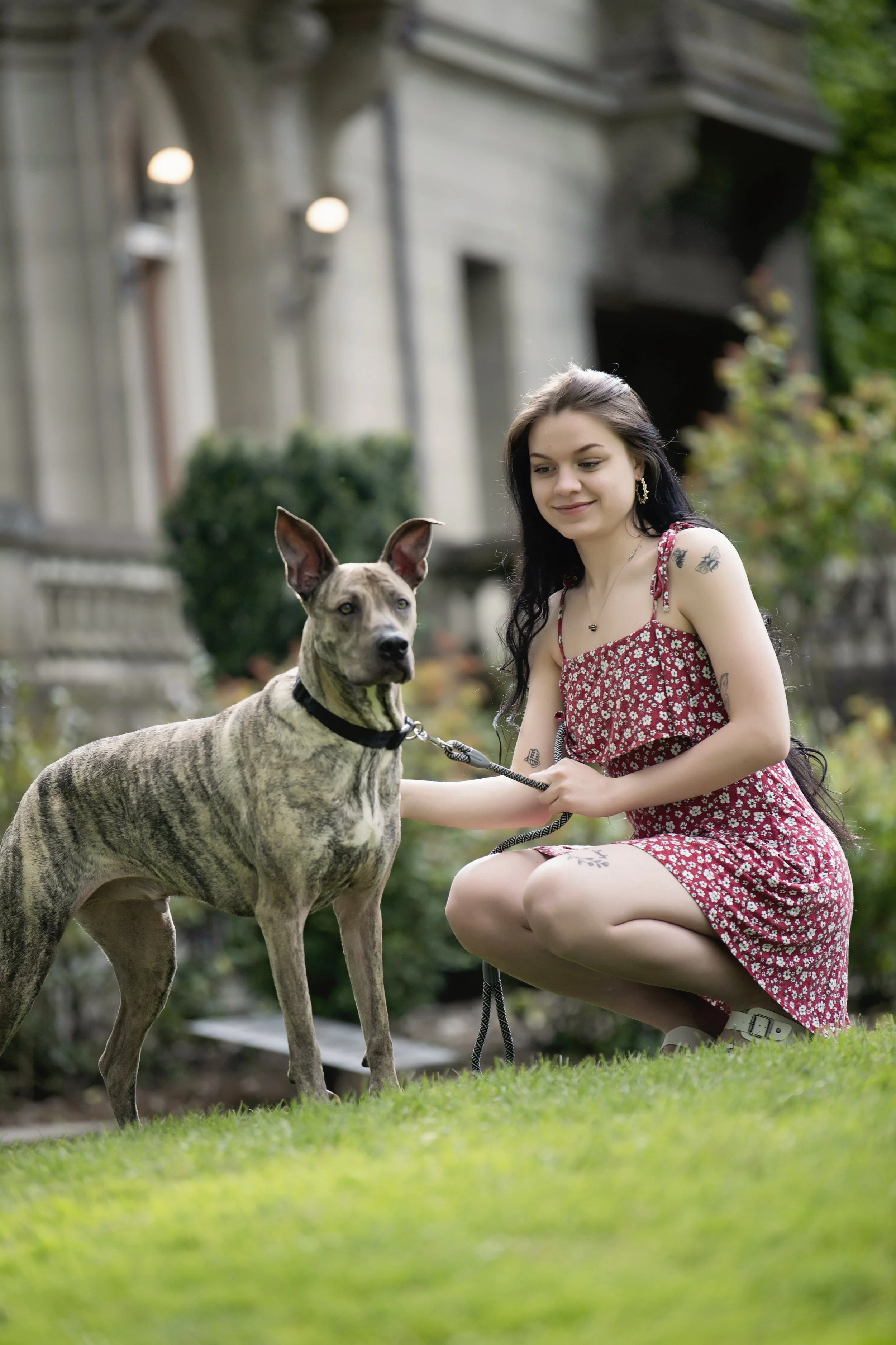 A young woman in a red floral dress is kneeling on the grass holding a leash attached to a large brindle dog with pointed ears, in front of a house with garden greenery.