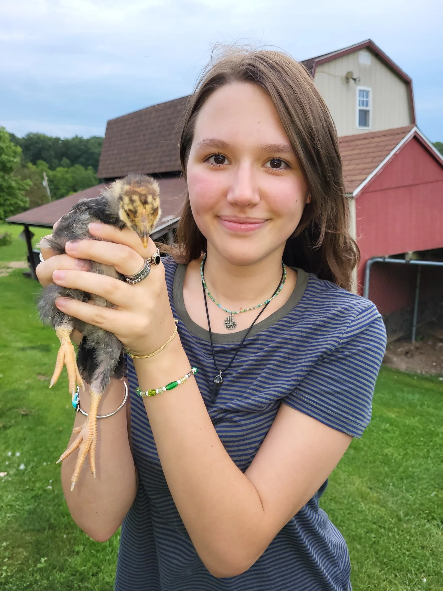Young girl holding a small chick outdoors with green grass and a barn in the background.