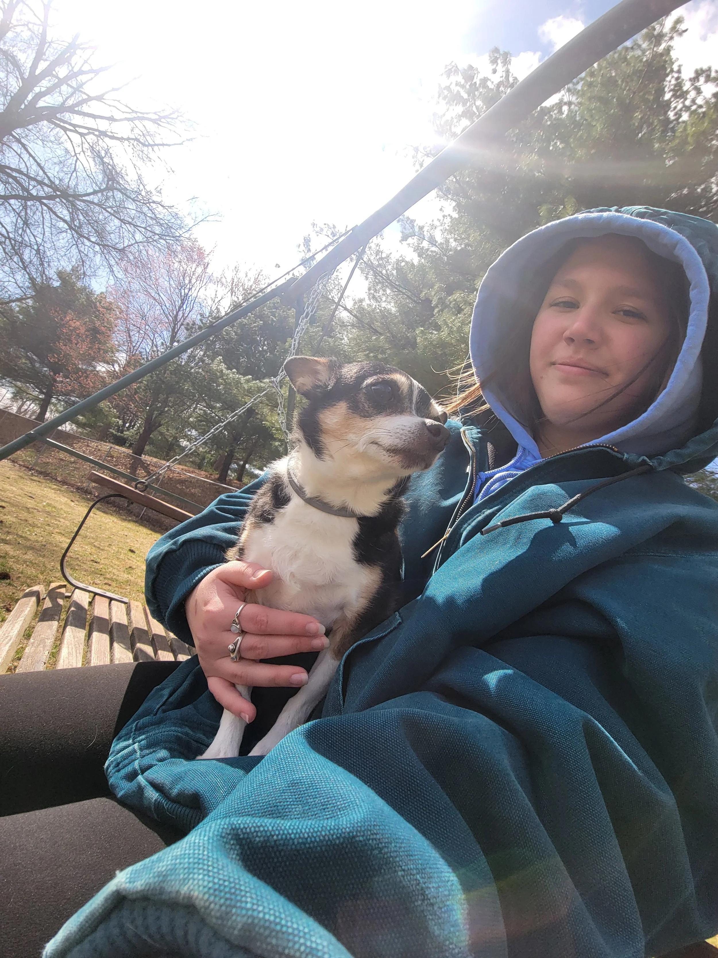 A girl in a blue jacket with a hood holding a small black and white dog on her lap, sitting outdoors on a park bench with trees and a swing set in the background, sunlight shining through the trees.