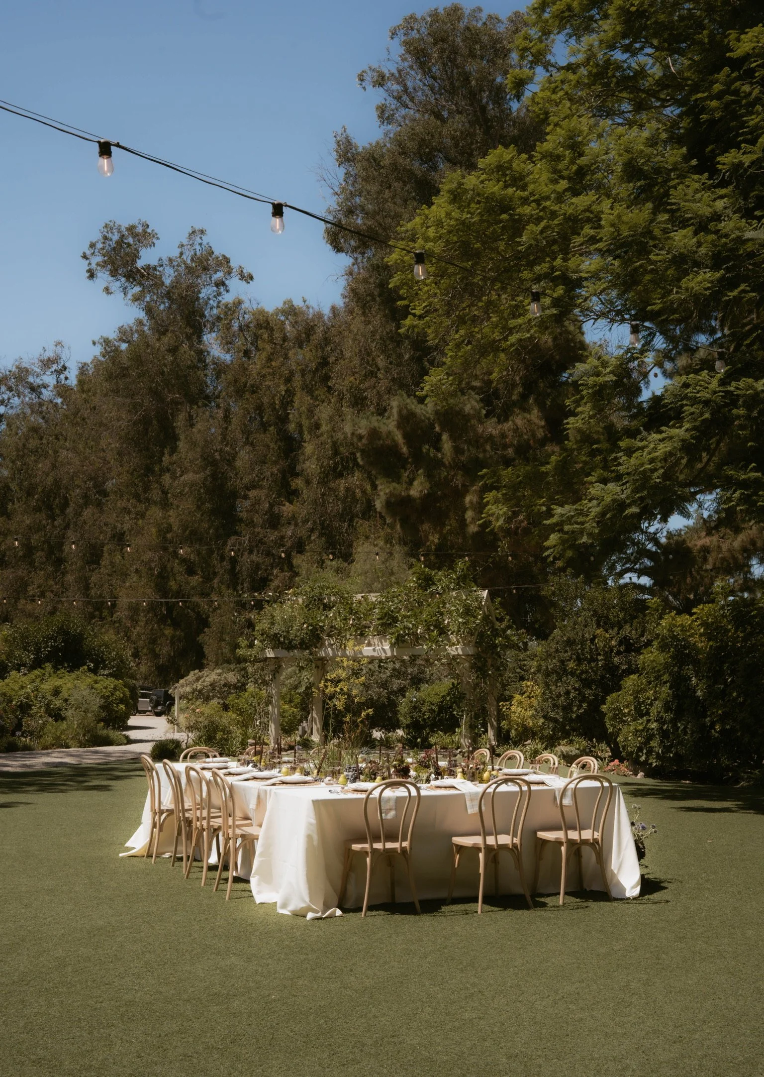 A long dining table set for an outdoor event on a grassy lawn, with chairs and tableware, under string lights and surrounded by lush trees.