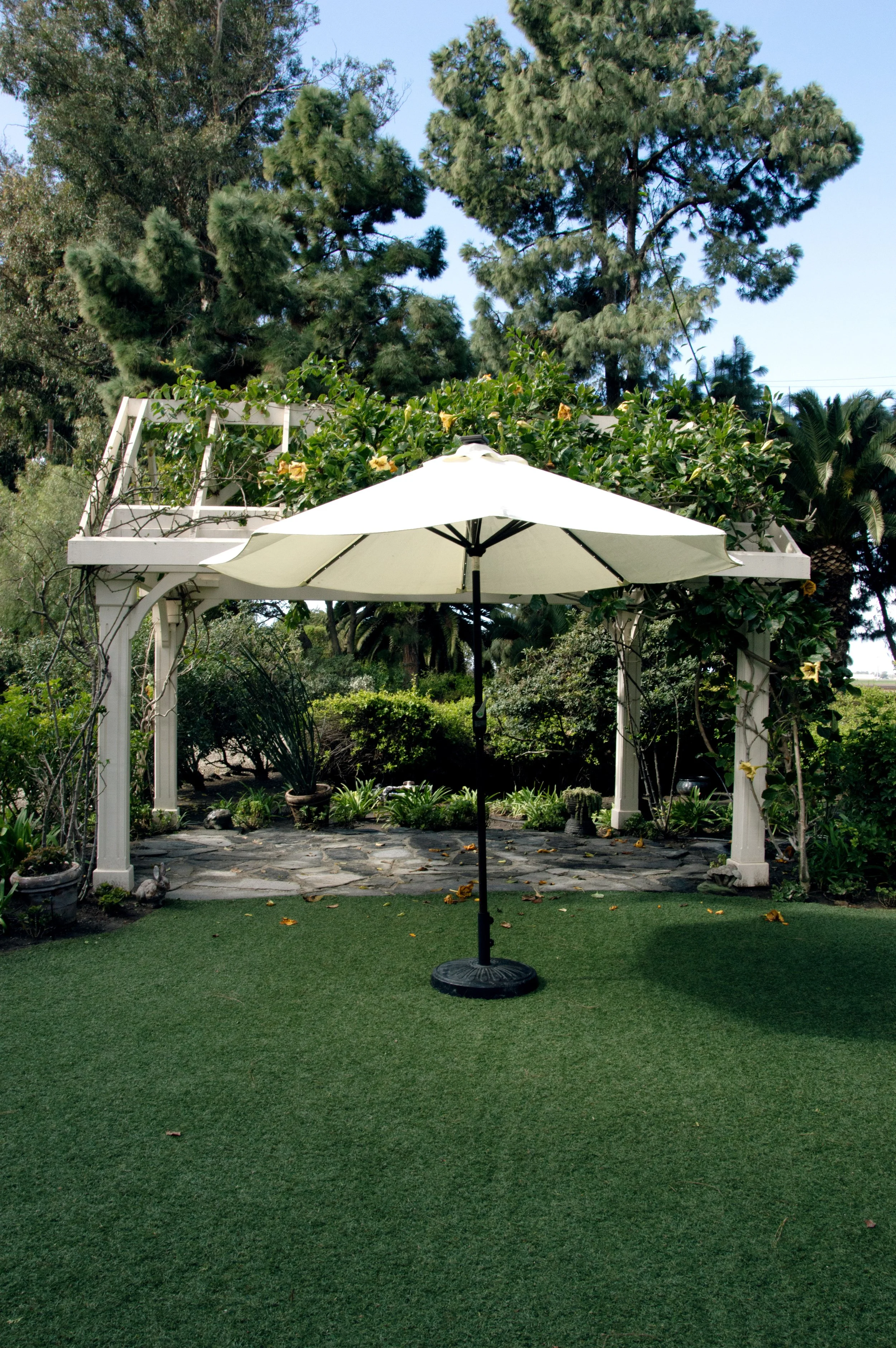 Umbrella w Lights.jpg