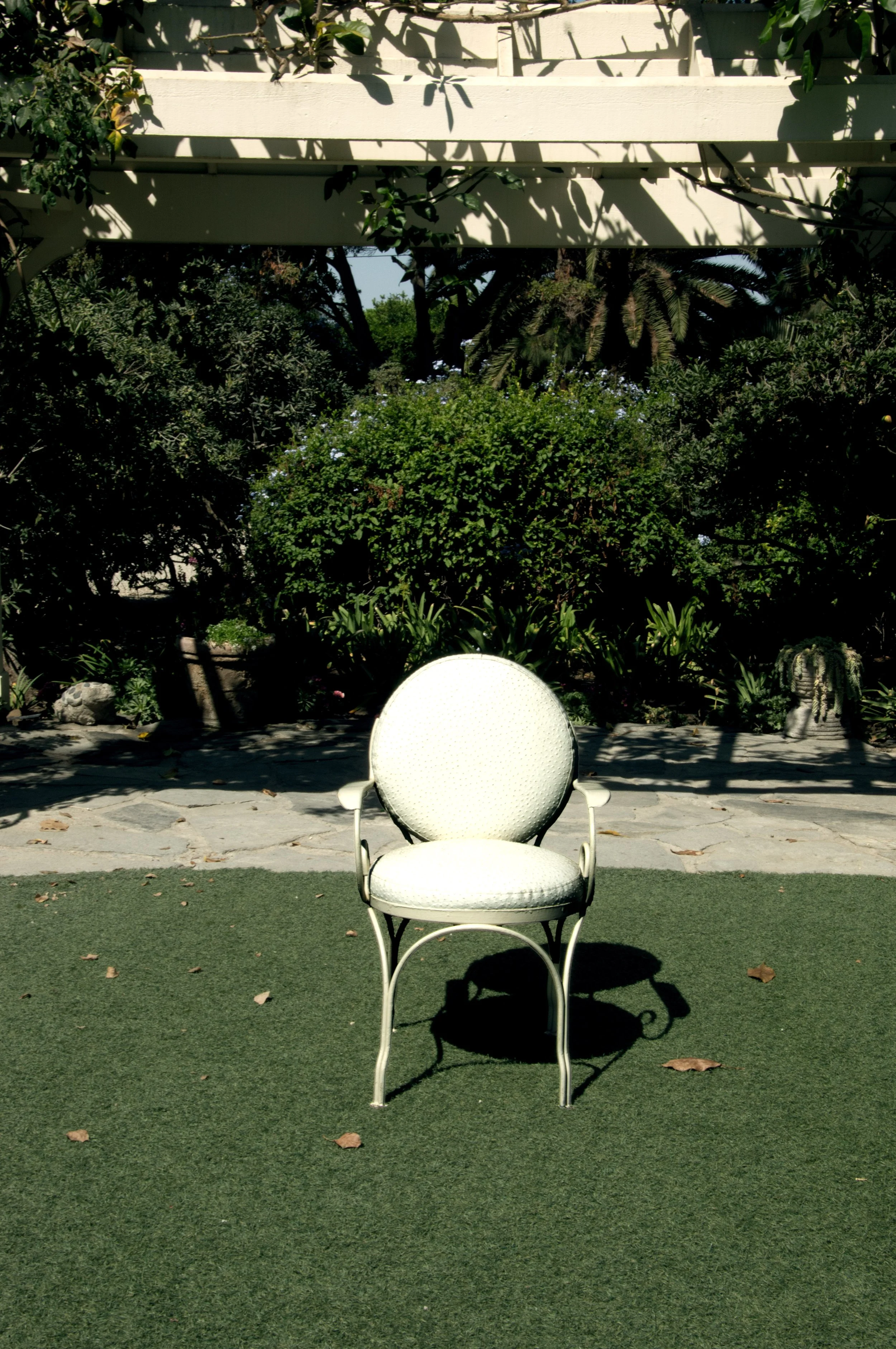 Ostrich Leather Chairs.jpg
