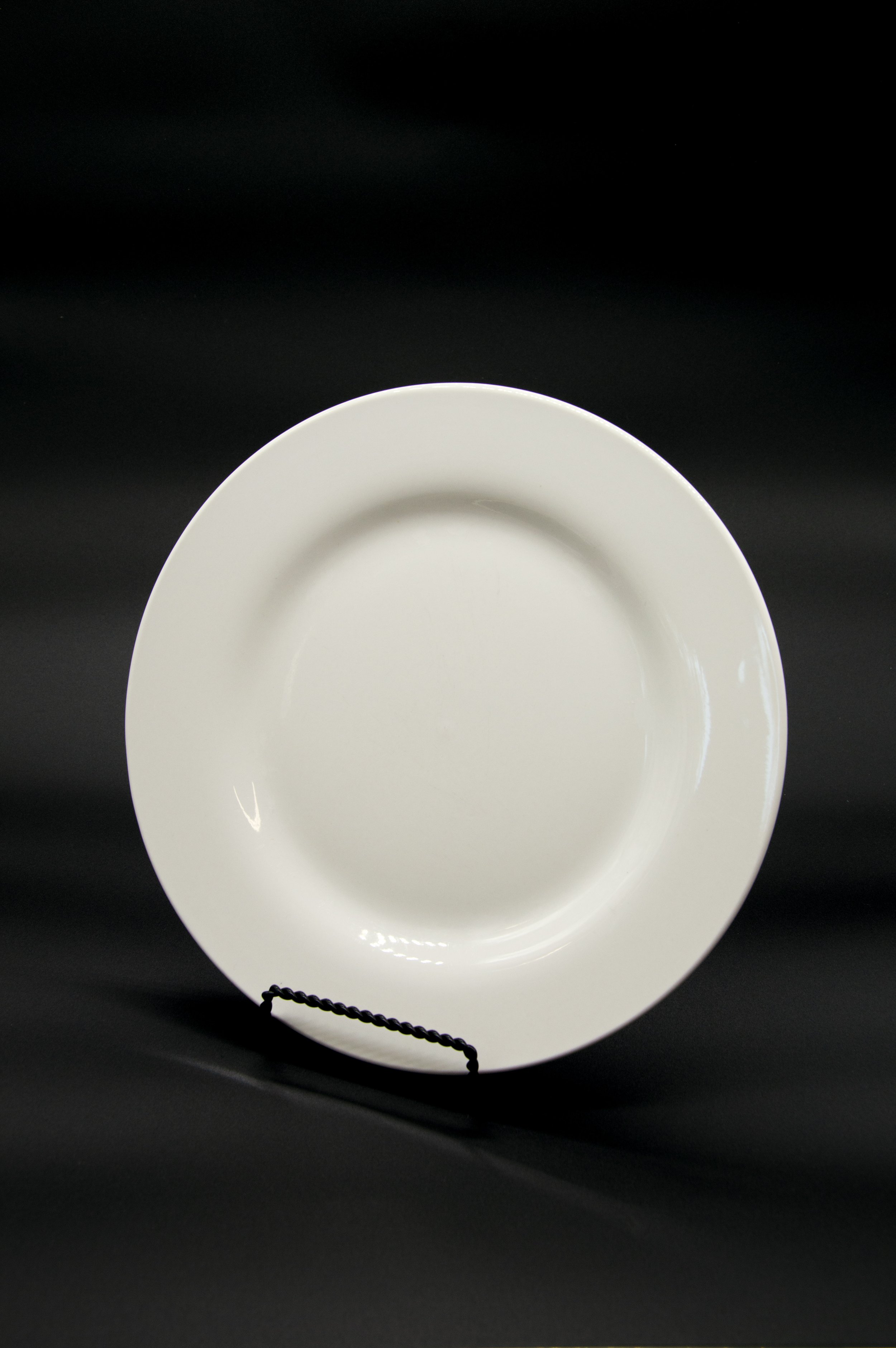 Dinner Plate.jpg