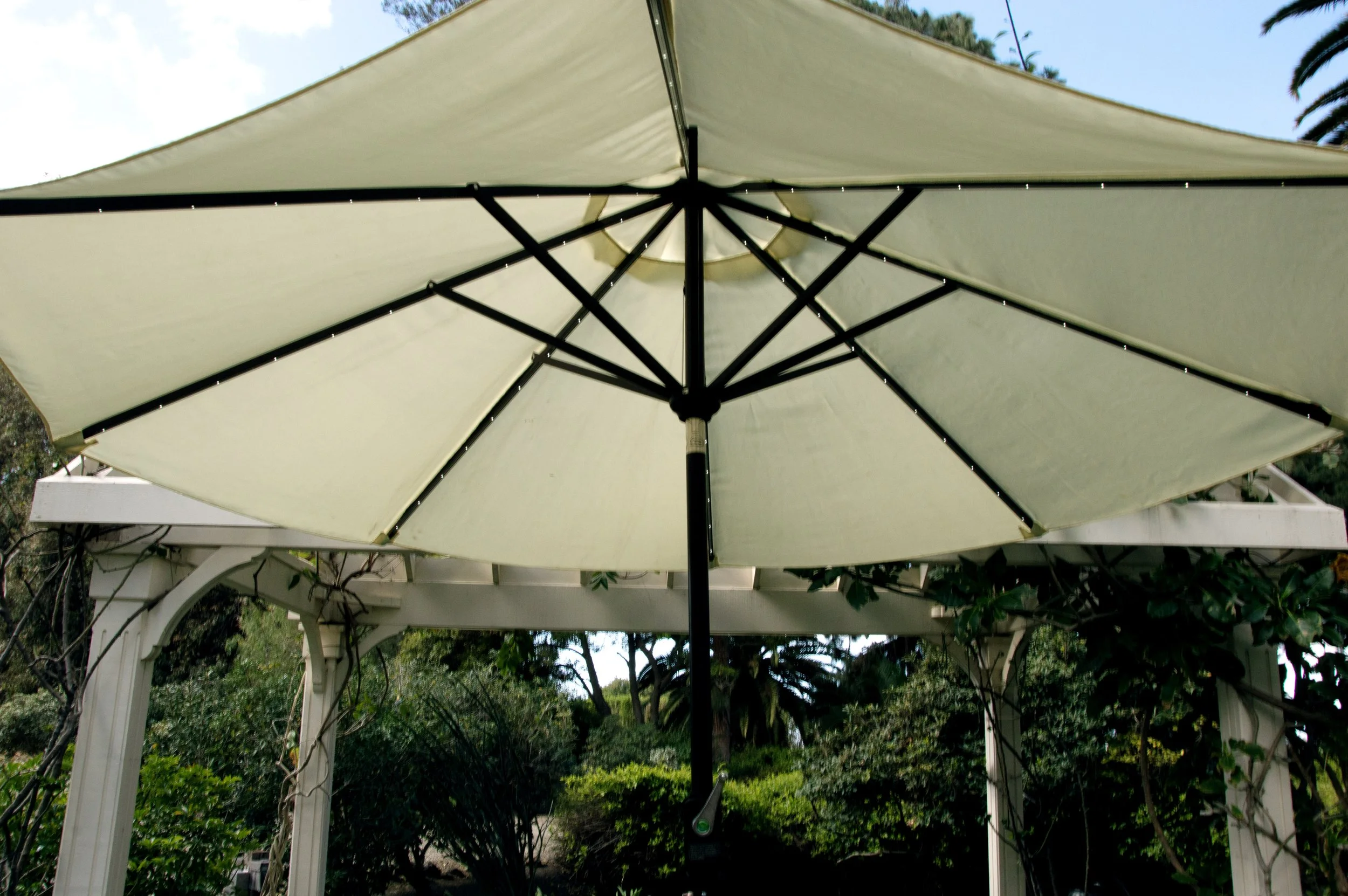 Umbrella w Lights 2.jpg