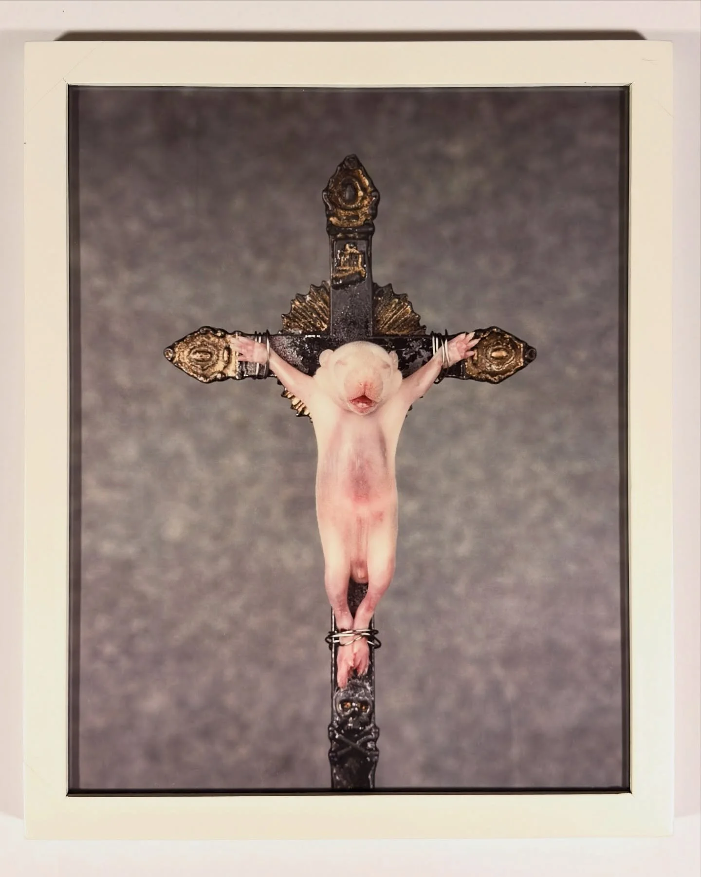 Midt blant kyrkjemotiv, Telemarkslandskap og lokal kunst, finn me dette arbeidet i kunstsamlinga v&aring;r. Det skil seg ut ikkje berre fordi det er eit av veldig f&aring; foto, men p&aring; grunn av motivet. Arbeidet er av Morten Viskum som i &aring