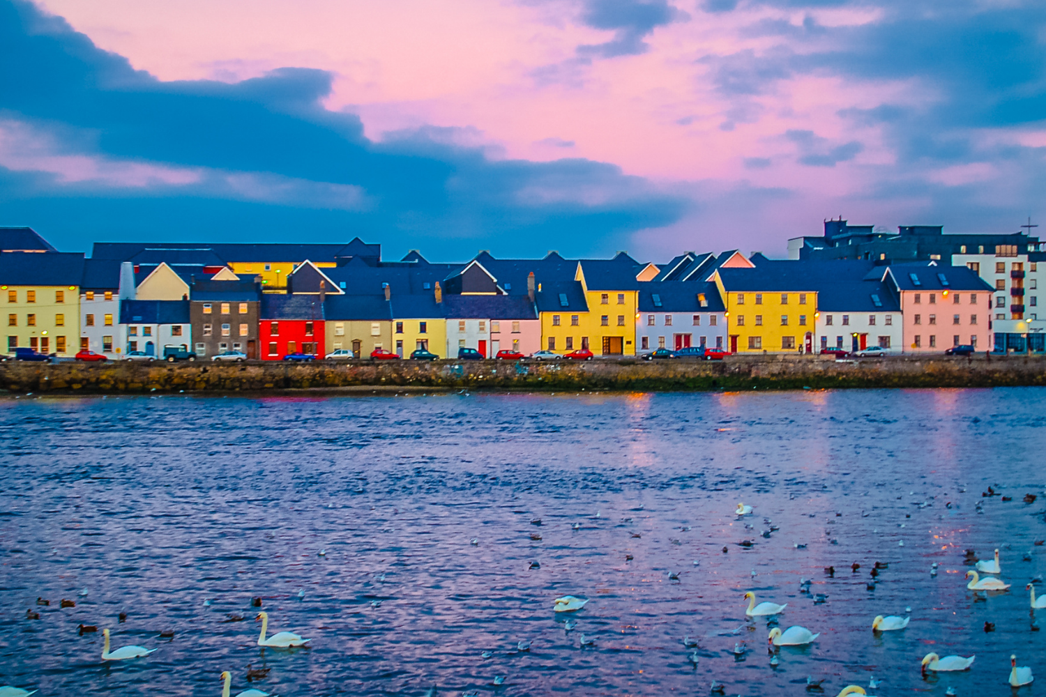 Colorful houses along a waterfront under cloudy sky at dusk, with swans and ducks swimming in the water in the foreground.