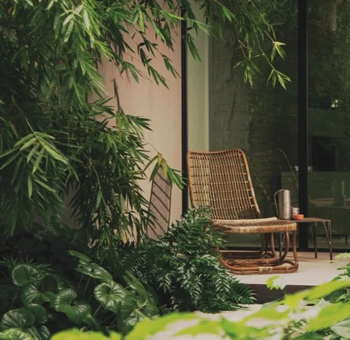 Indoor garden space with green plants and a wicker chair near a glass window.