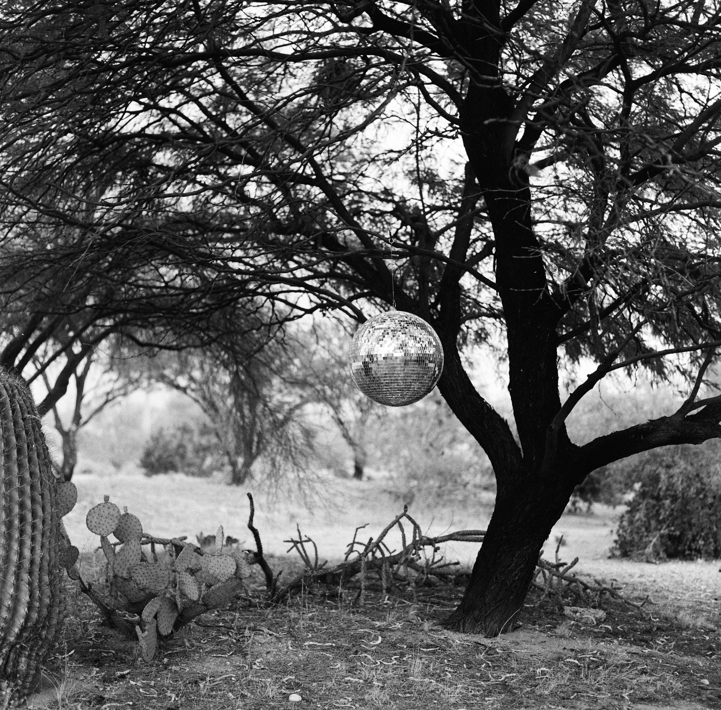 Blog Post Title Four