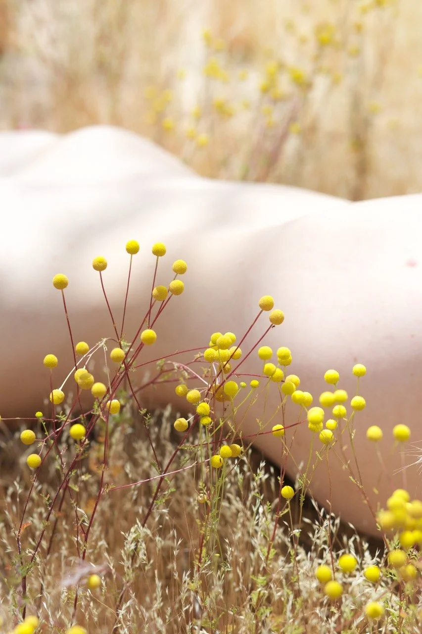 Blog Post Title Three