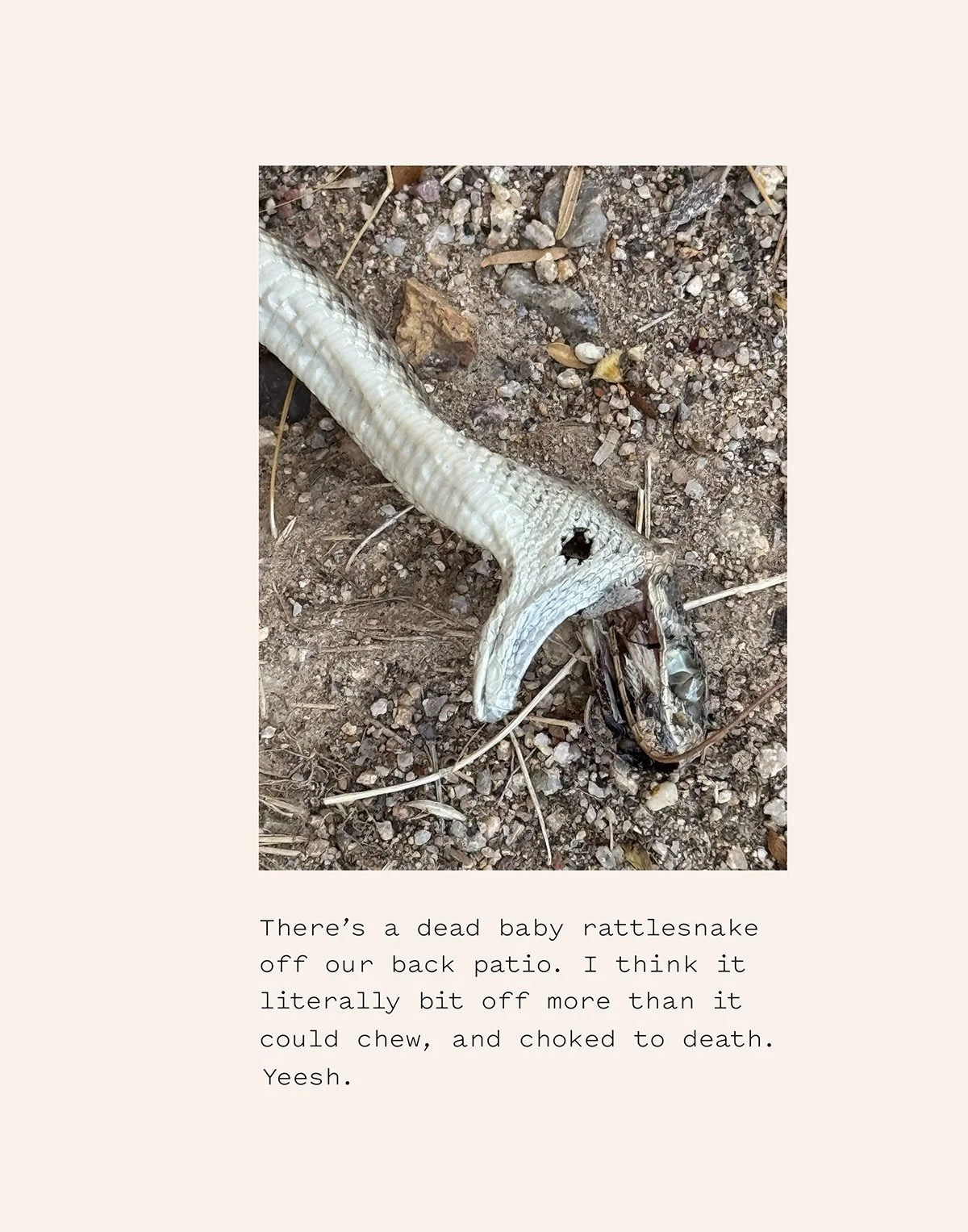 Humiliation of Desire-23.jpg