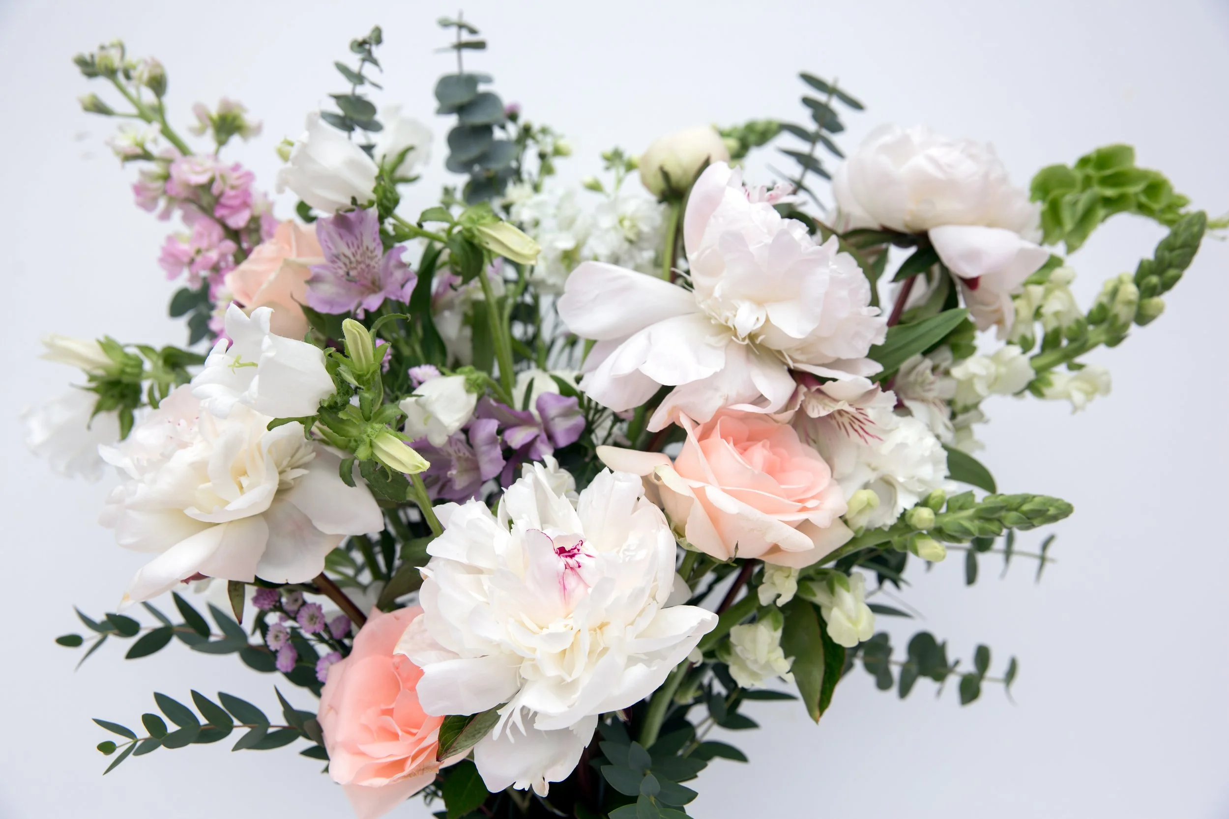 Ziggy and Wildflower subscription