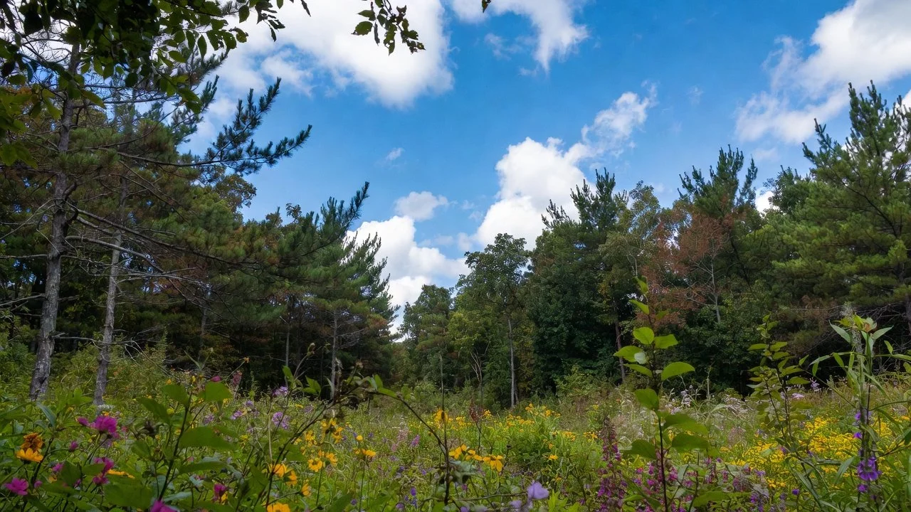 10749.jpg (Copy) (Copy)