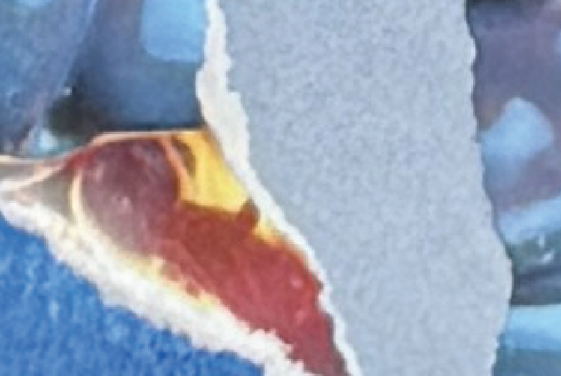 Collage inset by Dr. Melissa Fristrom, C-Suite Executive Coach at Core Allies