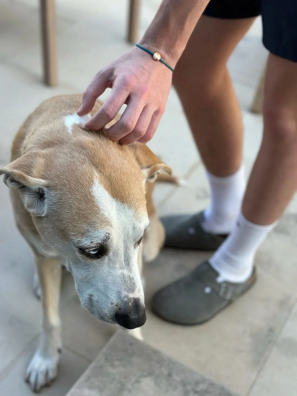 IMG_5480.jpeg (Copy)