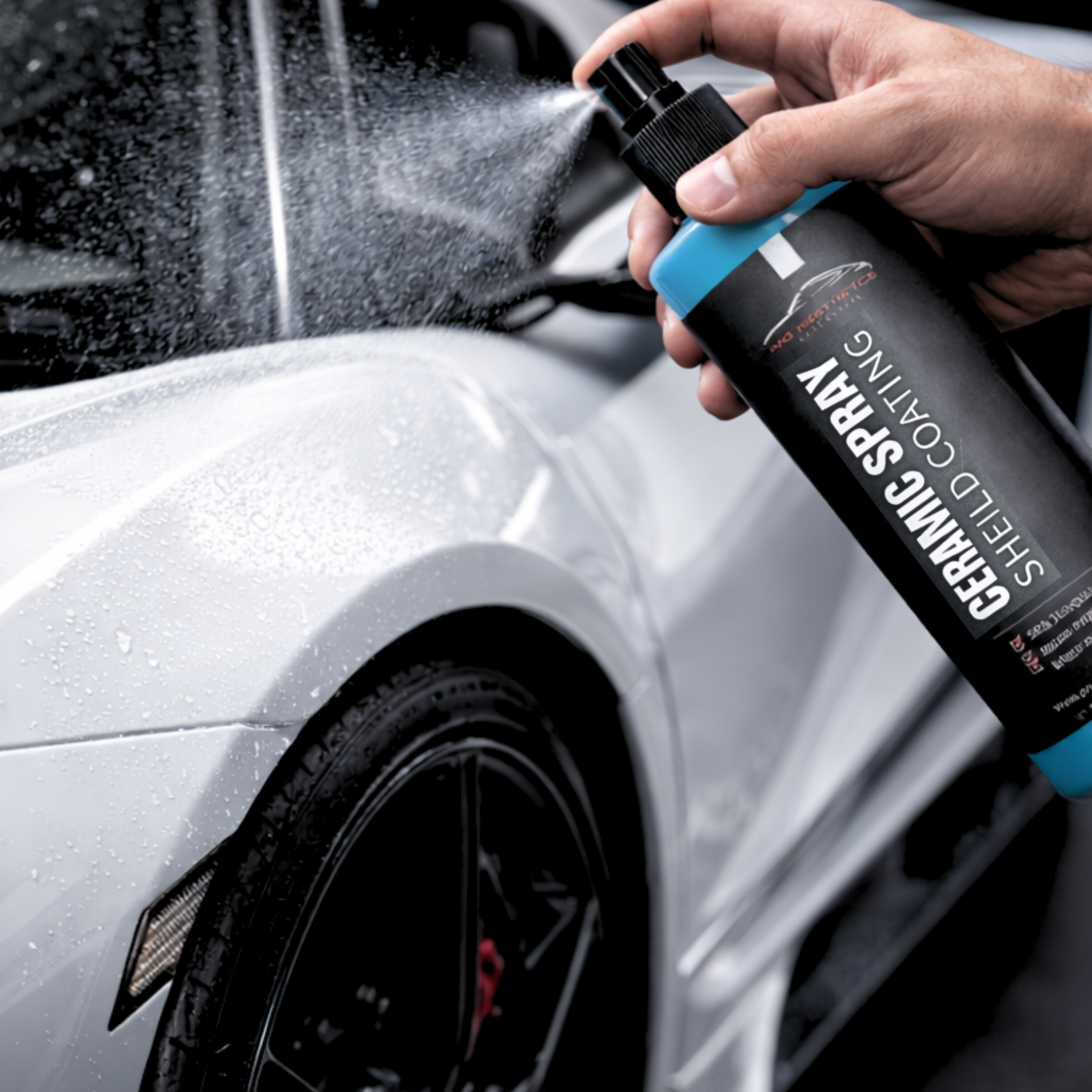 ceramic spray on car.png