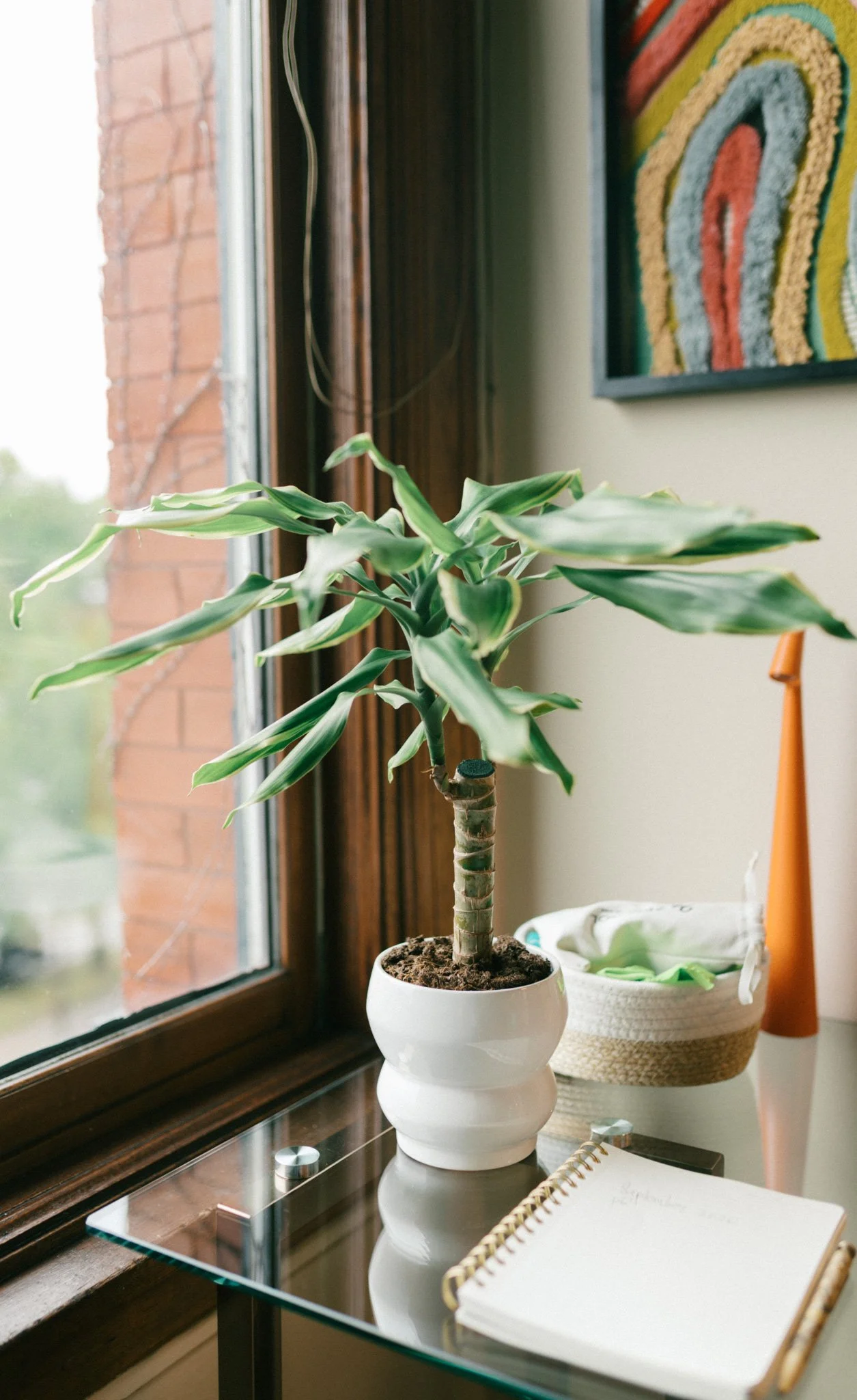 Kimberly Endres office
