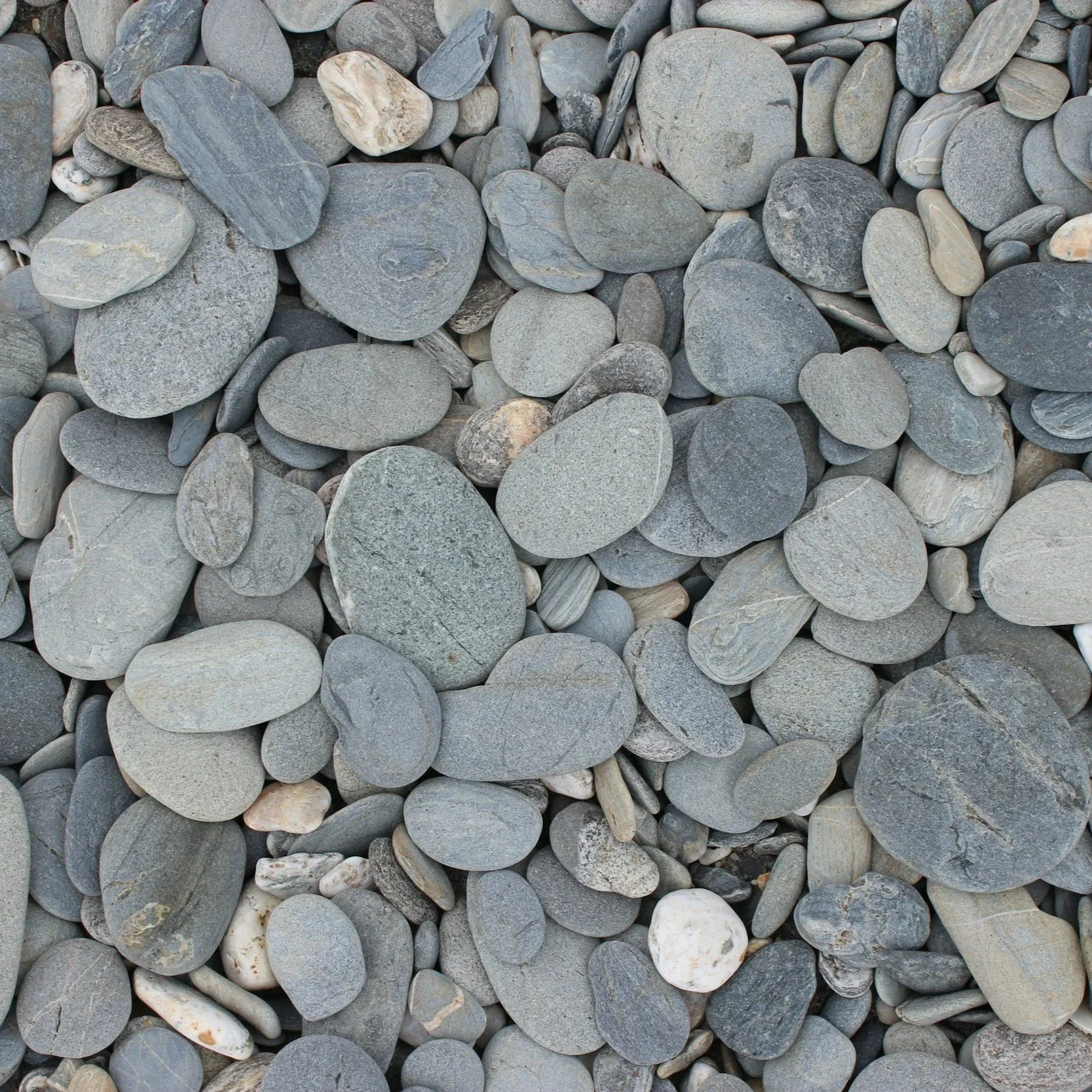 Geometric drawing of an outline square with sections divided by vertical, horizontal, and half circle lines.