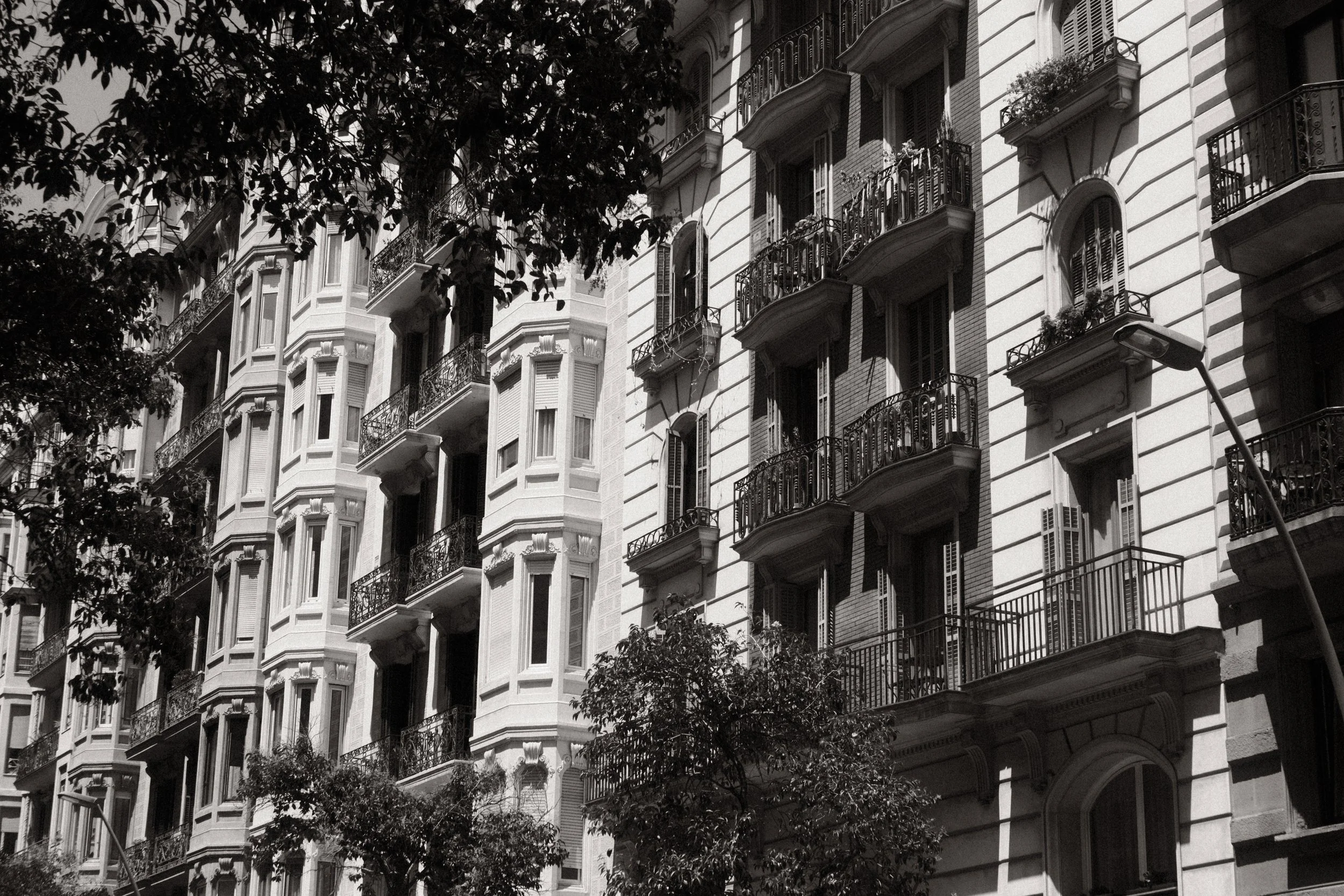 Black and white photo of a city street with multi-story residential buildings and balconies, with trees in the foreground.
