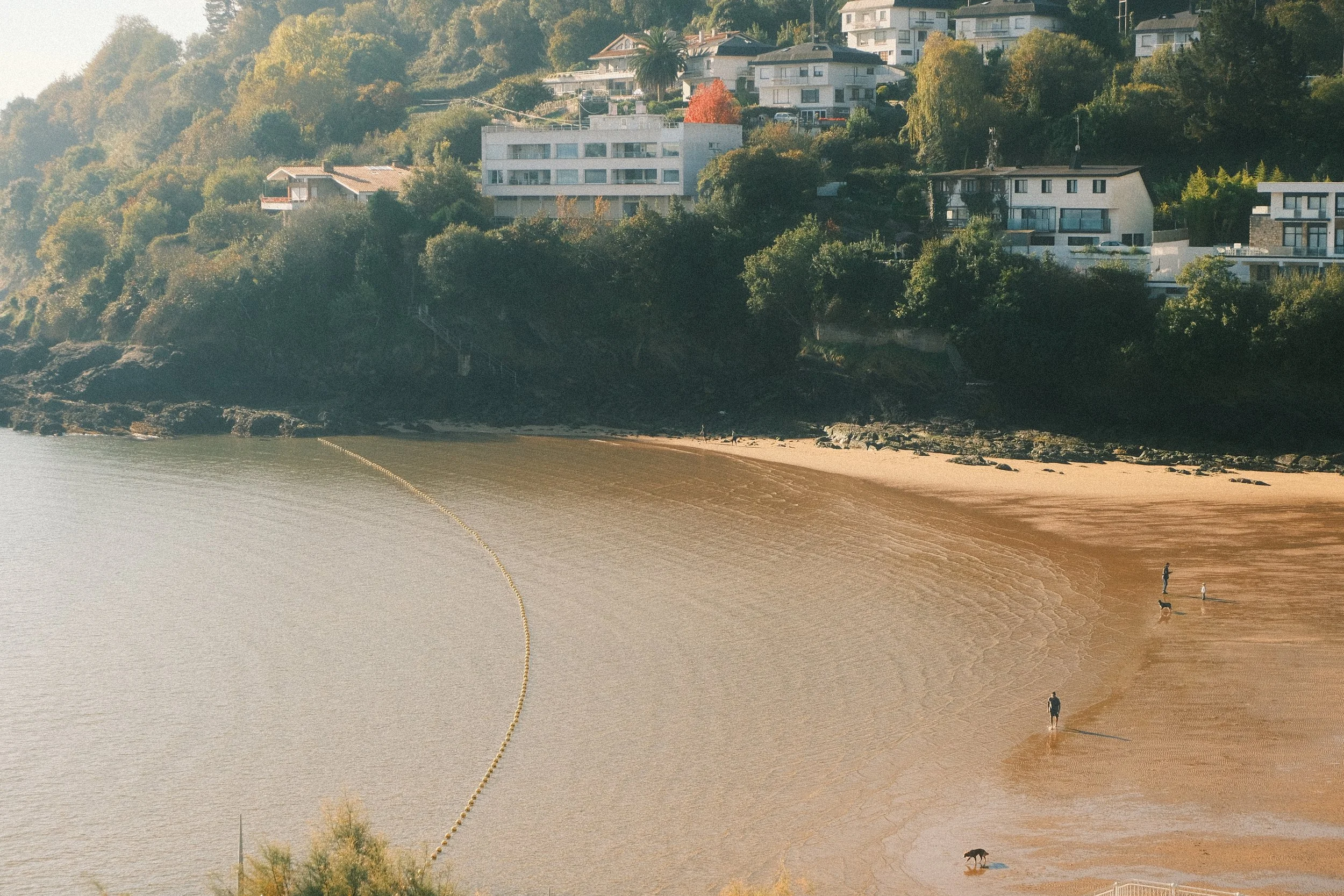 View of a sandy beach with a few people and dogs near the shoreline, a water barrier or rope separating the beach from the water, and houses on a green hillside in the background.