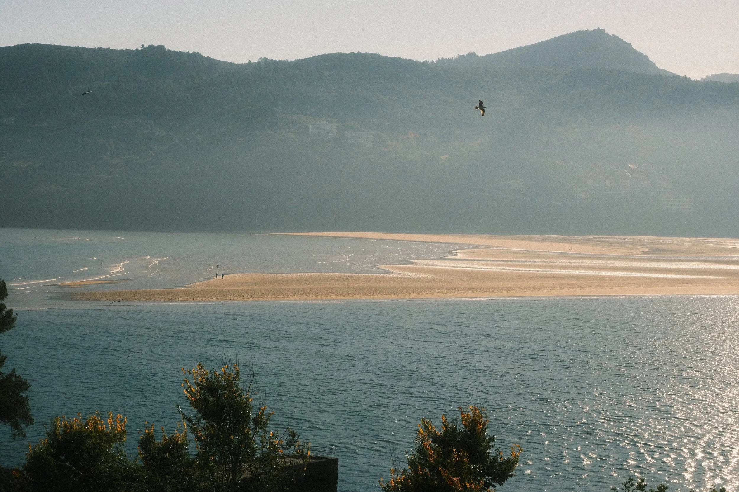 A scenic view of a body of water with a sandy barrier, mountains in the background, and birds flying in the sky.