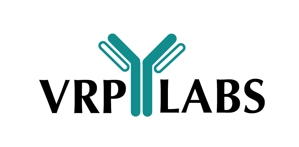 VRP Labs | Mountain View, CA
