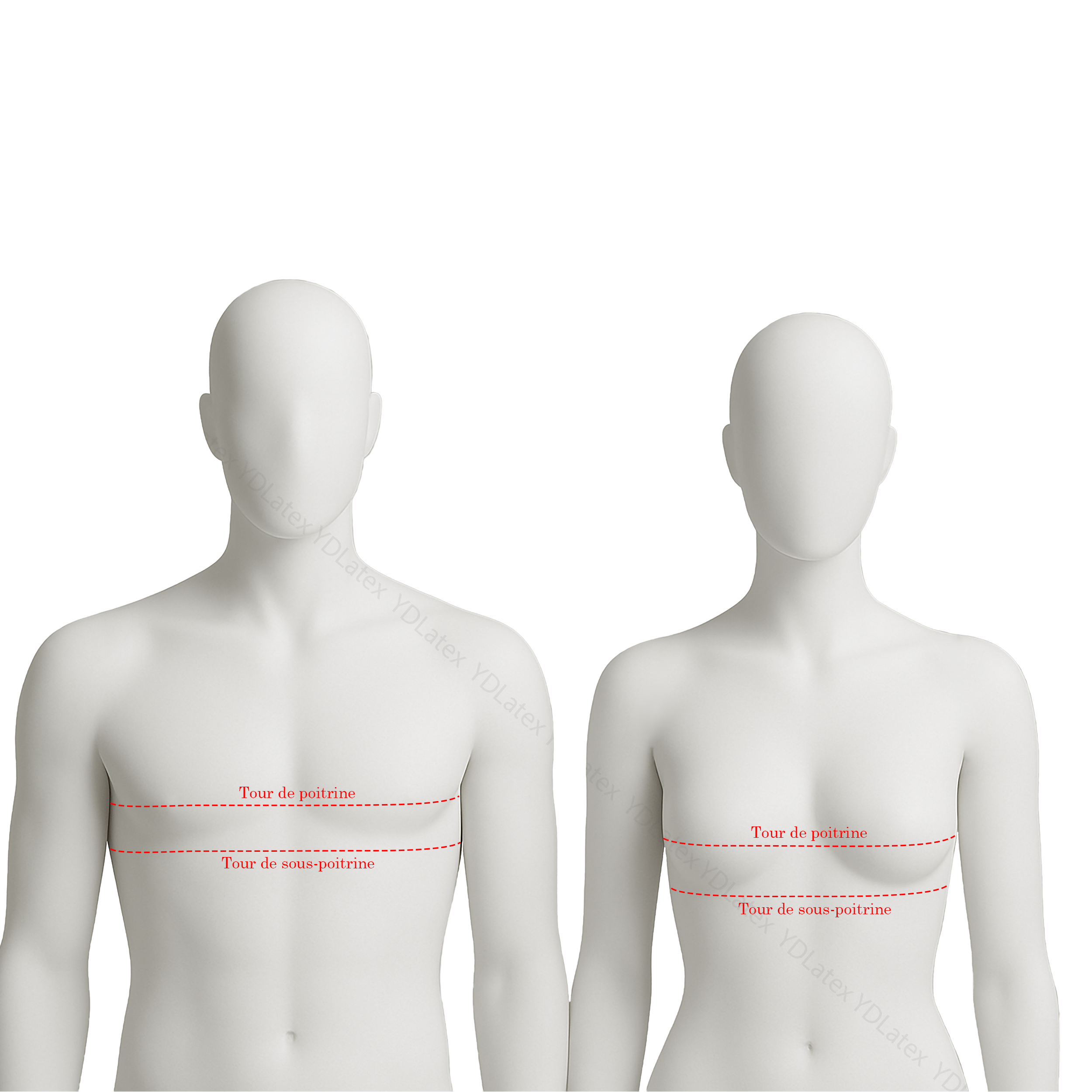 Mannequin devant soutien gorge Victoria .png