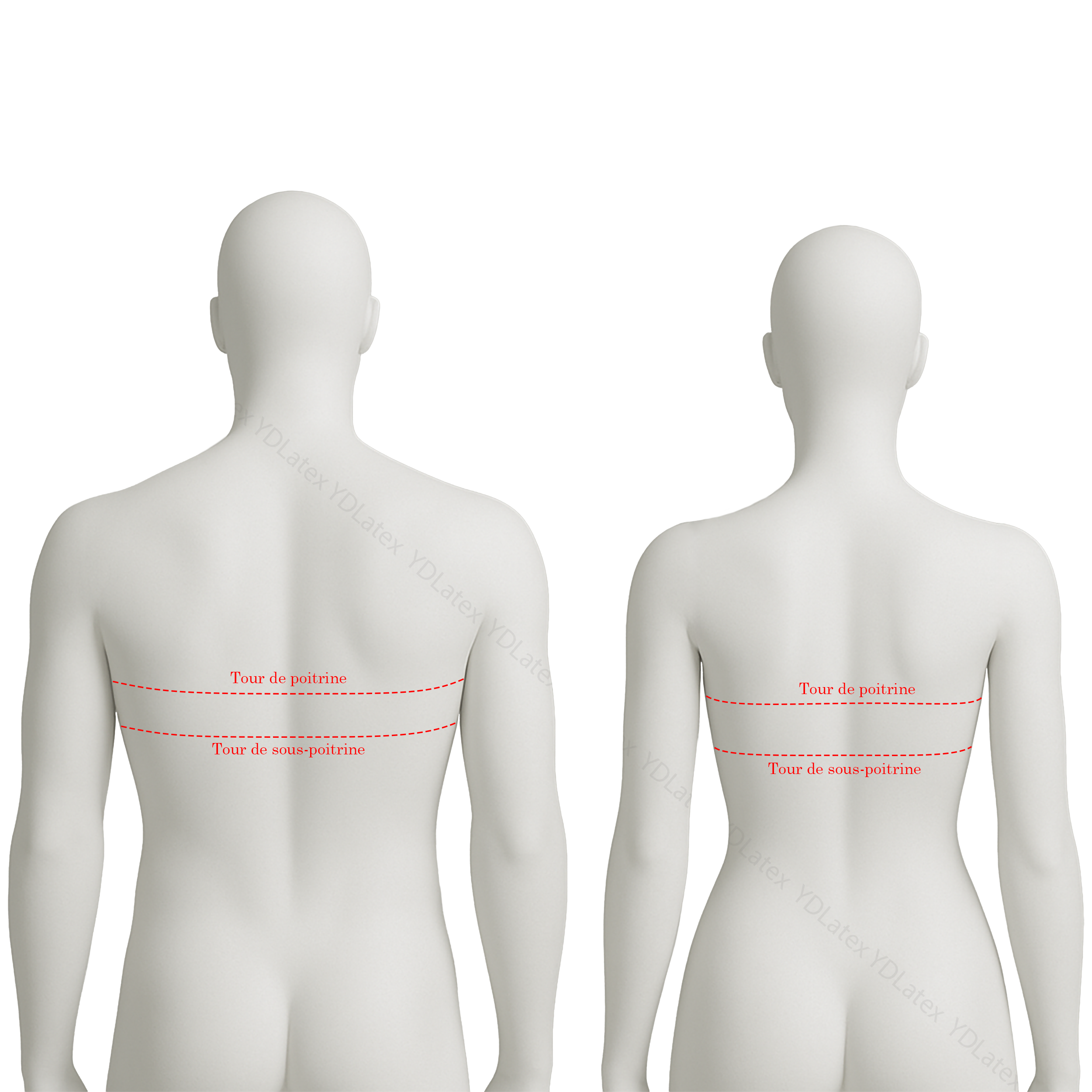 Mannequin dos soutien gorge victoria.png