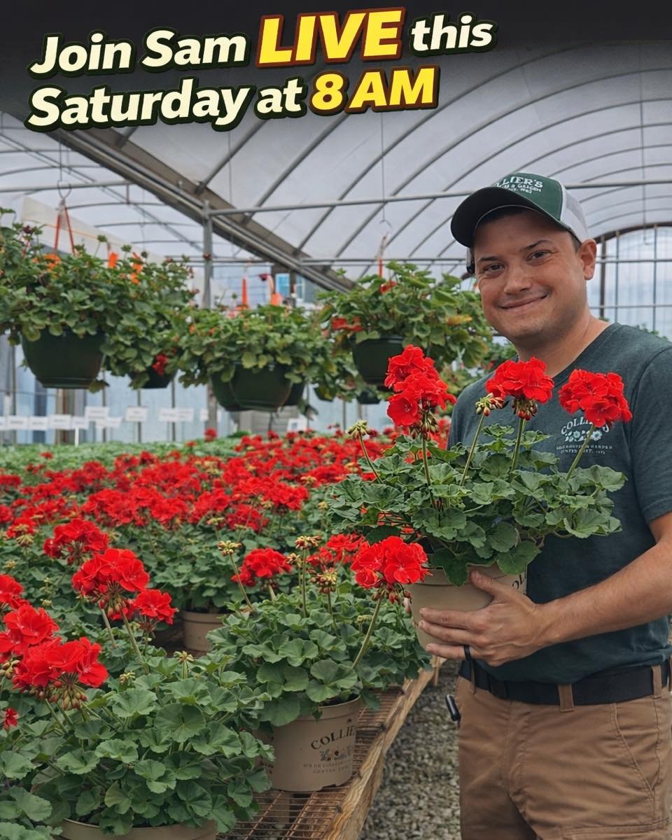 Join Sam live this Saturday at 8:00 AM on Facebook.