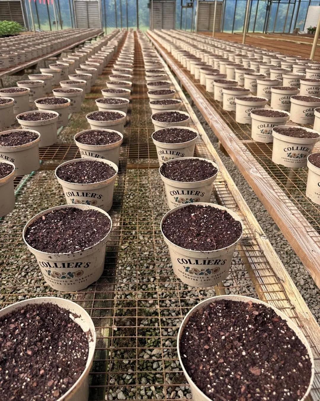 🌼 Something big is coming&hellip;

If you&rsquo;ve walked through the greenhouse today, you may have noticed hundreds of pots sitting empty.

They&rsquo;re not empty for long.

We&rsquo;re already getting ready for one of our favorite seasons of the