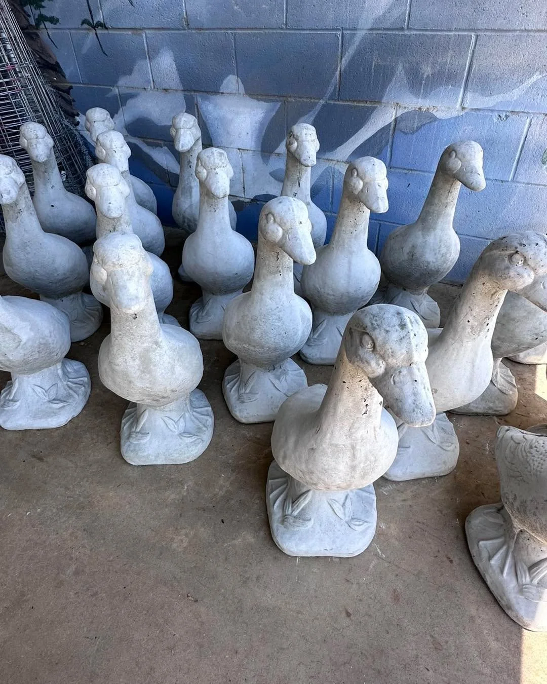 🦢 The Geese Have Landed! 🦢

Our  porch geese are officially lined up and ready for their new homes!

We also just unpacked a fresh load of concrete statuary, birdbaths, benches, planters, animals, angels, and unique garden accents. Whether you&rsqu