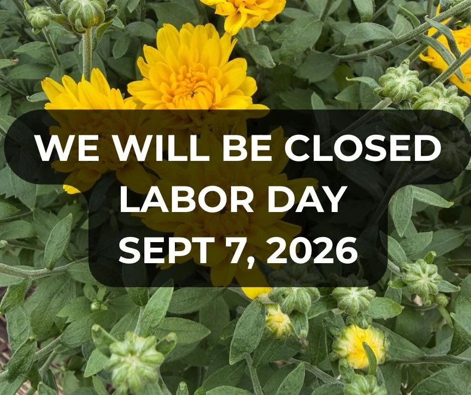 Closed Labor Day