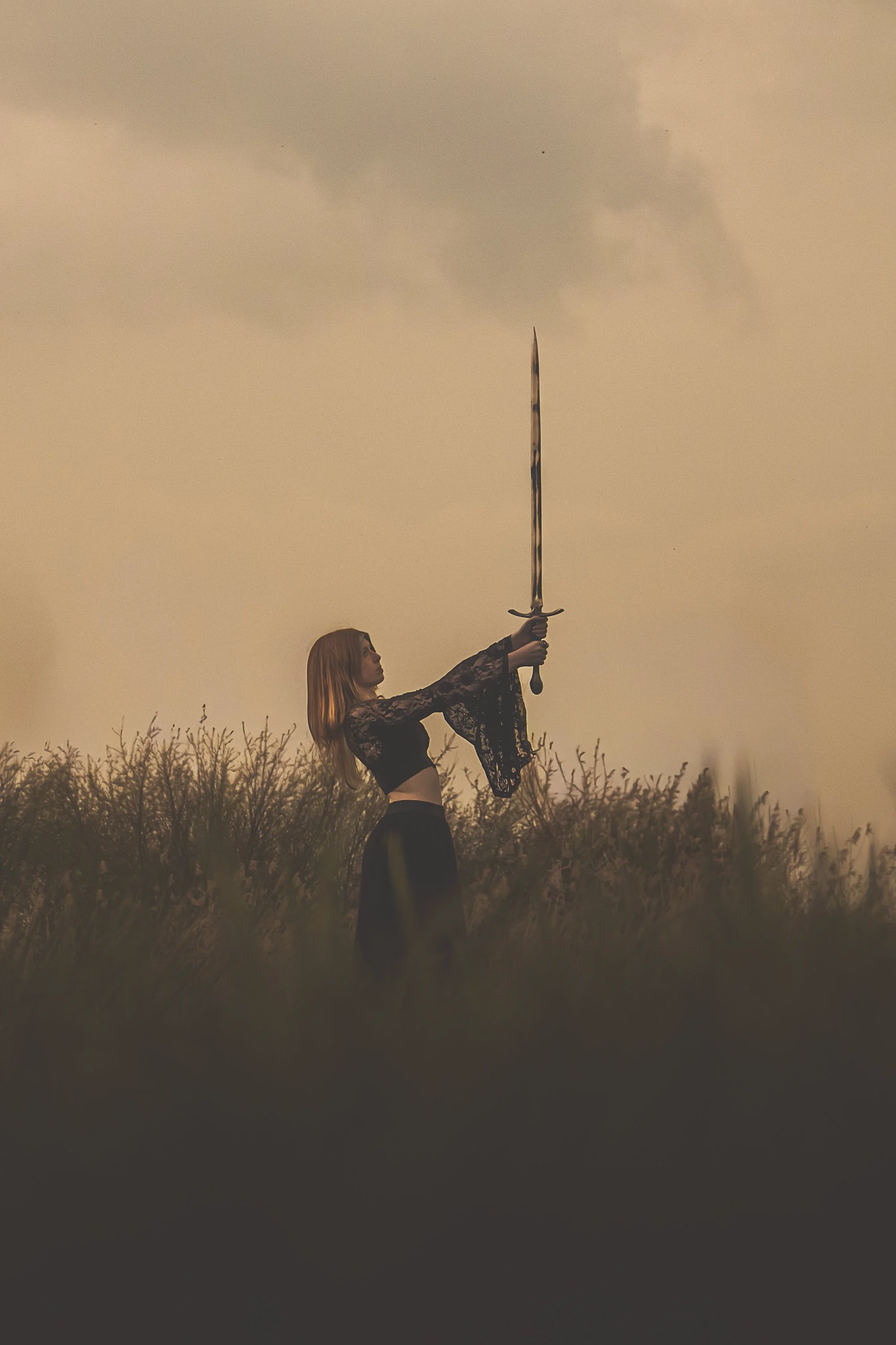 A woman in black lace clothing stands in a field holding a tall sword raised above her head, with a cloudy sky in the background.
