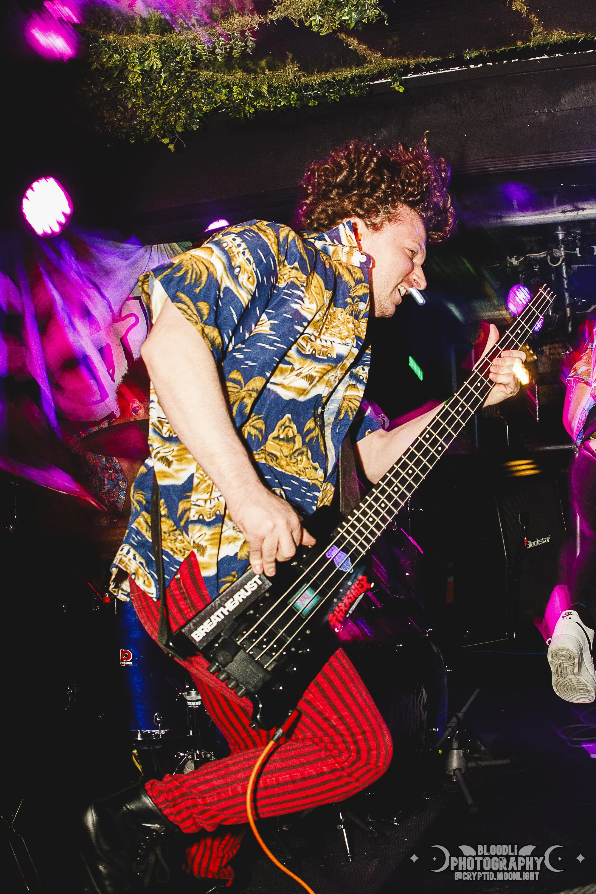 A man with curly hair wearing a Hawaiian shirt and red striped pants playing a bass guitar on stage during a lively performance with colorful stage lights and a dark background.