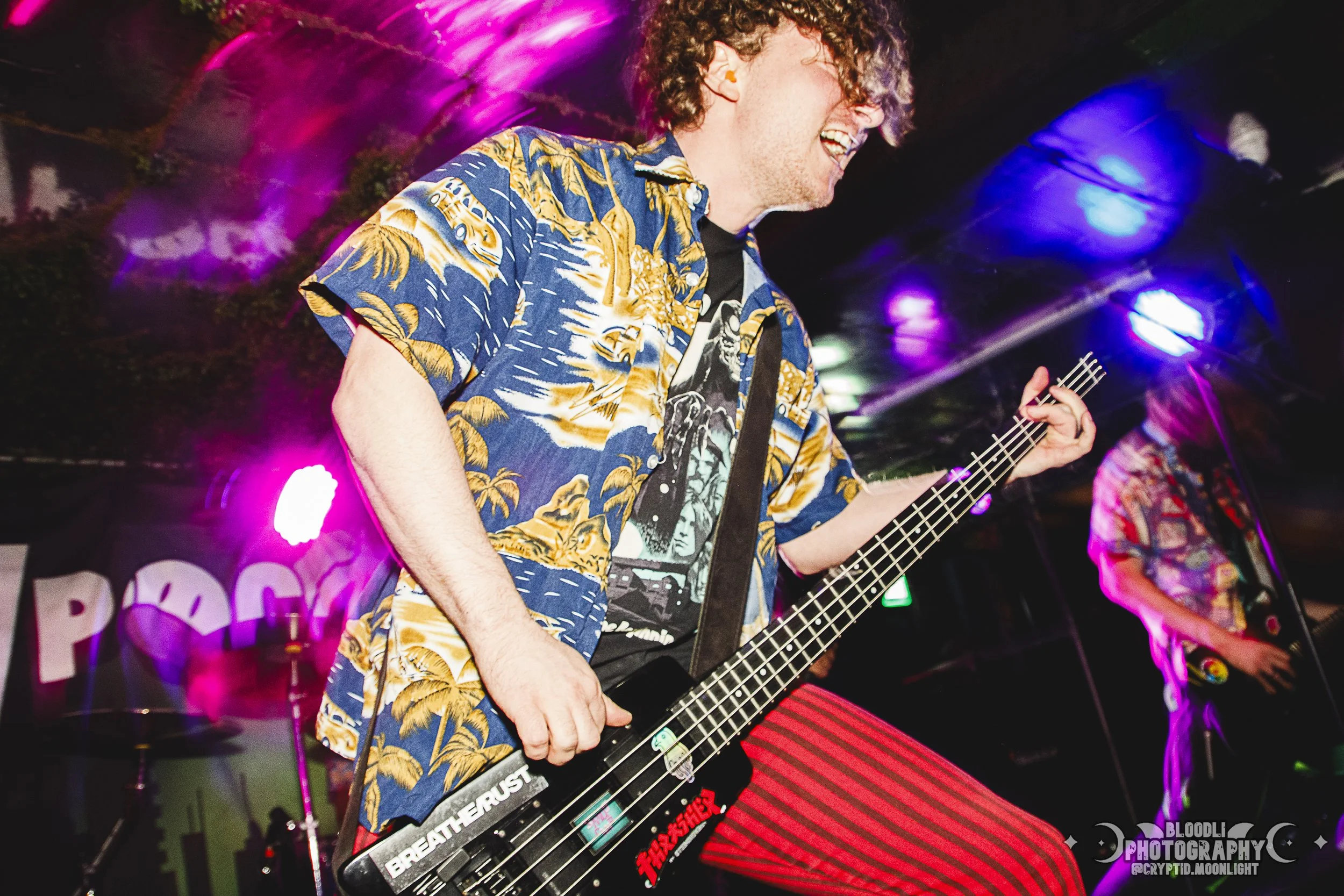A man playing a bass guitar on stage, wearing a Hawaiian shirt with a tiger design, with colorful stage lights and another musician in the background.