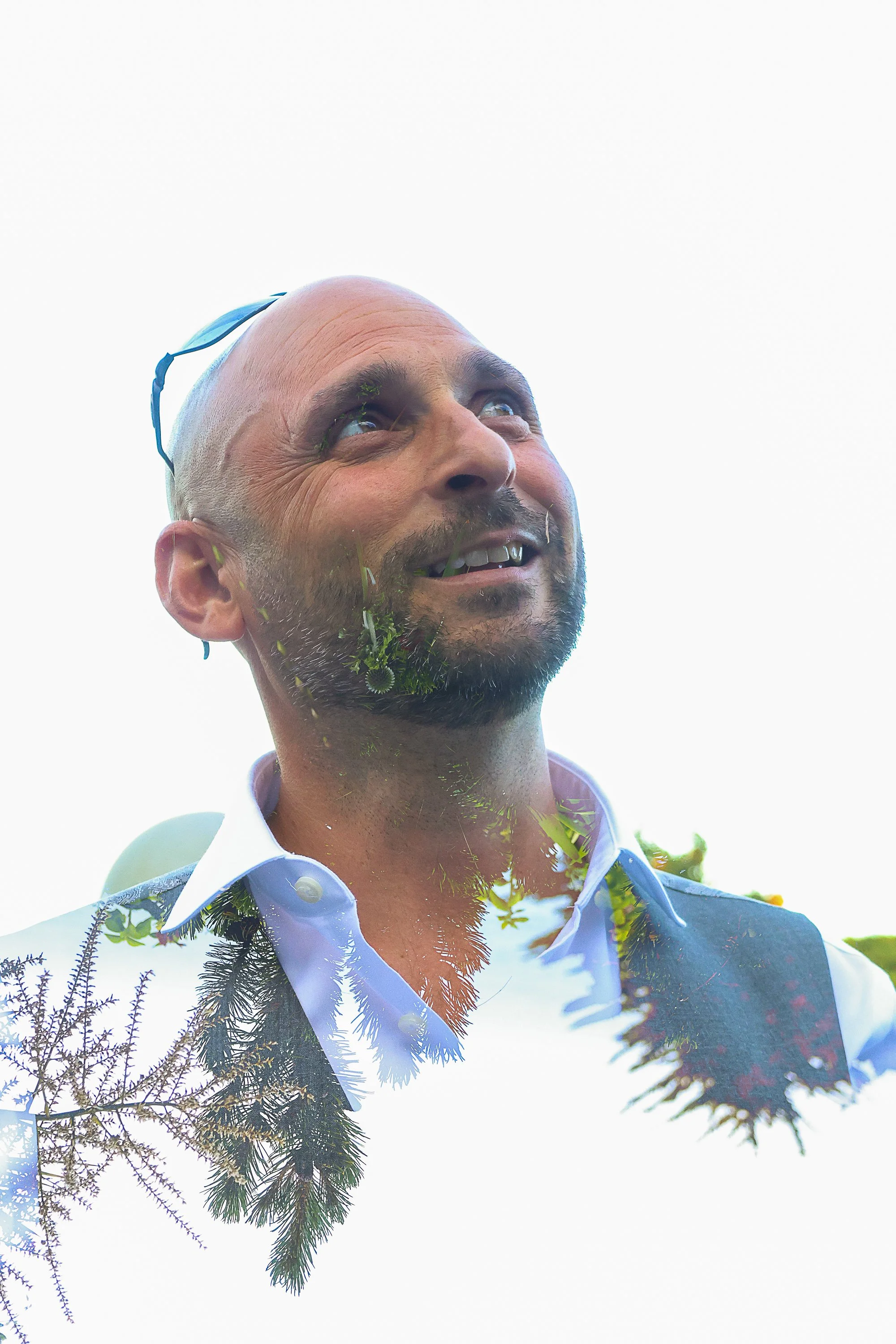 A man with a bald head, beard, and glasses resting on his forehead, smiling and looking upward. He is wearing a white shirt and a jacket. There are tree branches and leaves reflected in his face, and the background is bright and clear sky.