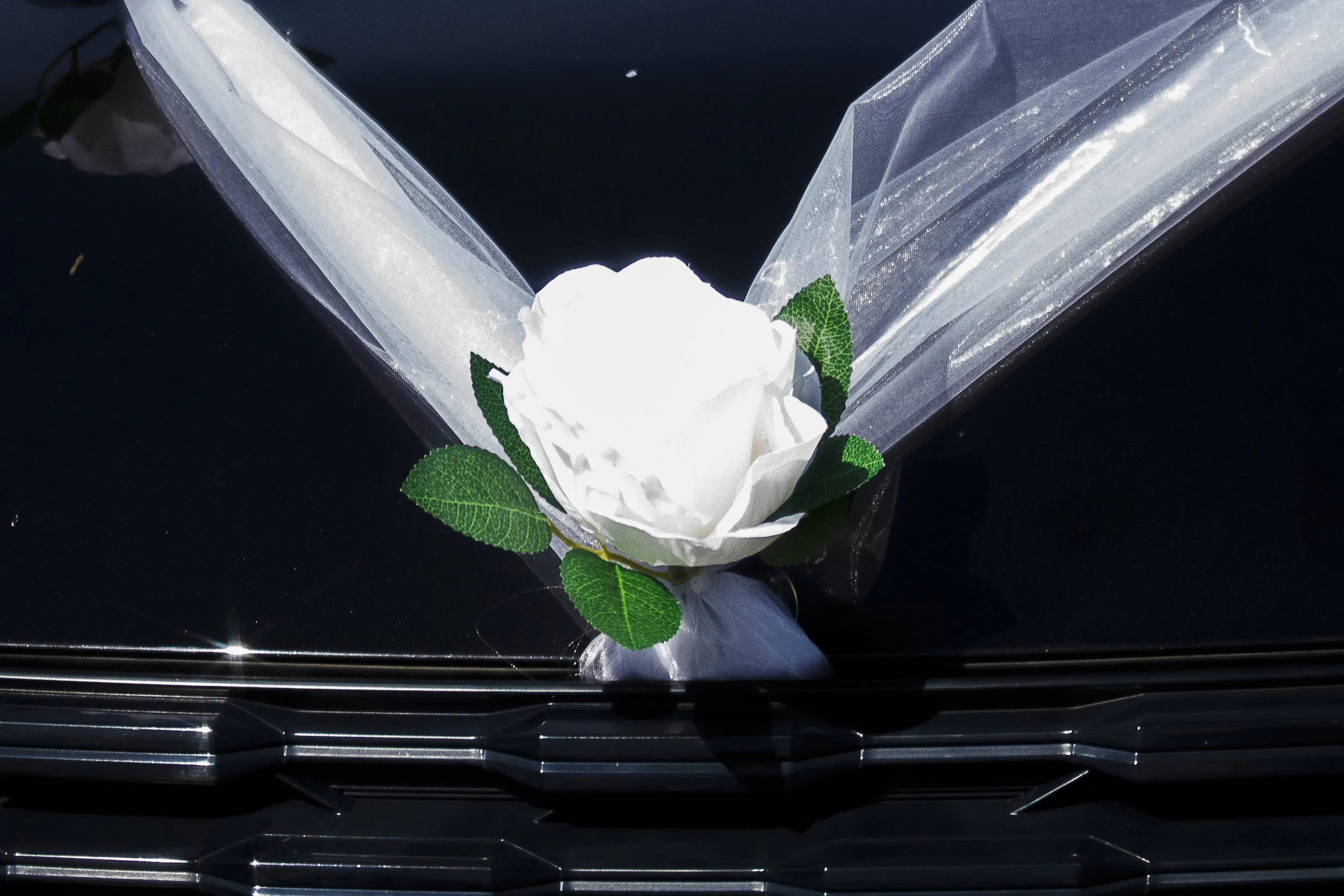 S&G Wedding x BP -188.jpg