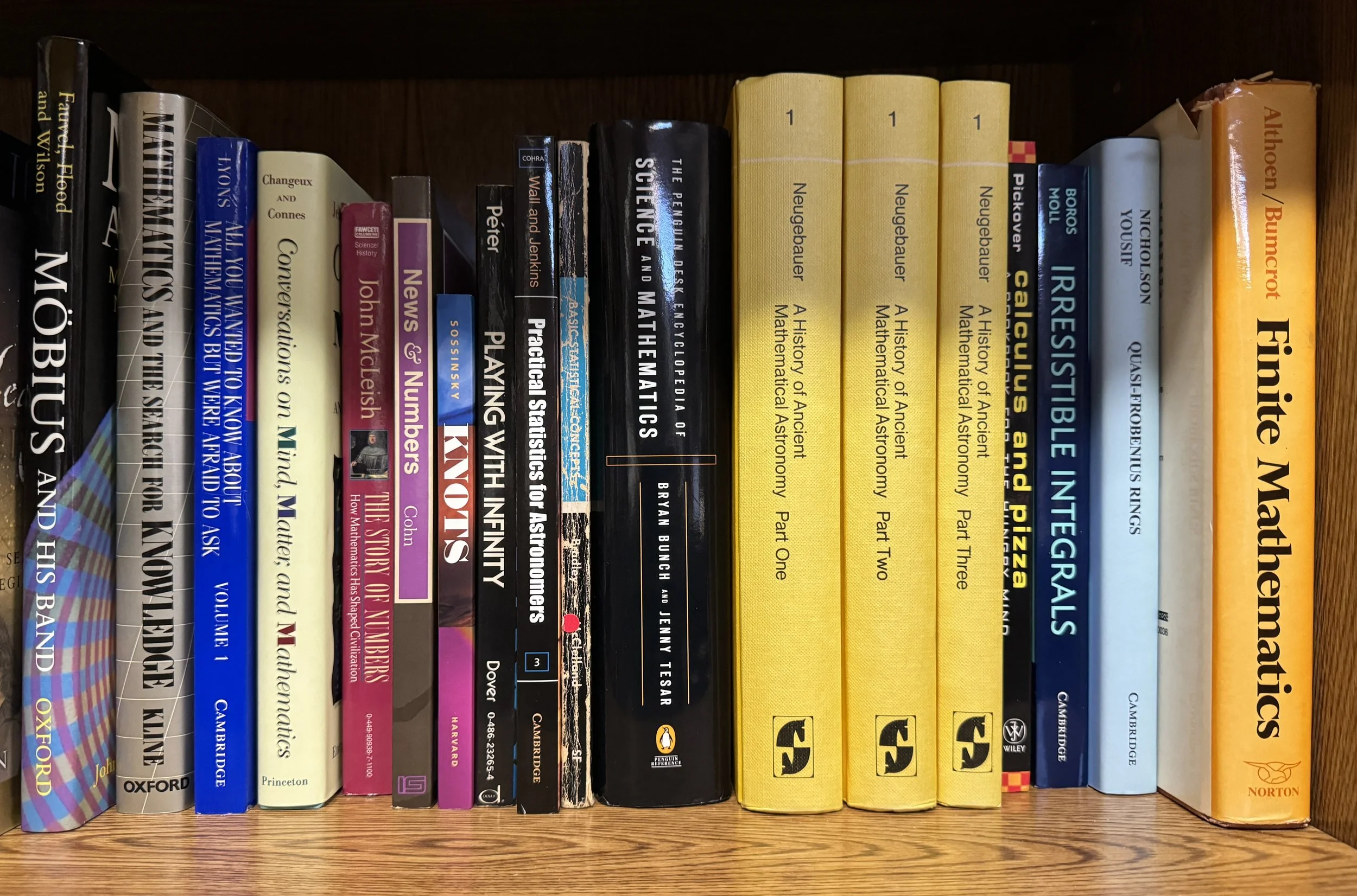 Special Interest: Mathematics