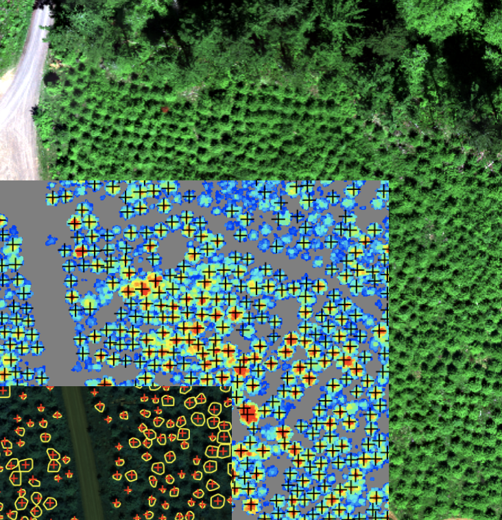 Data Science & Quantitative Modeling