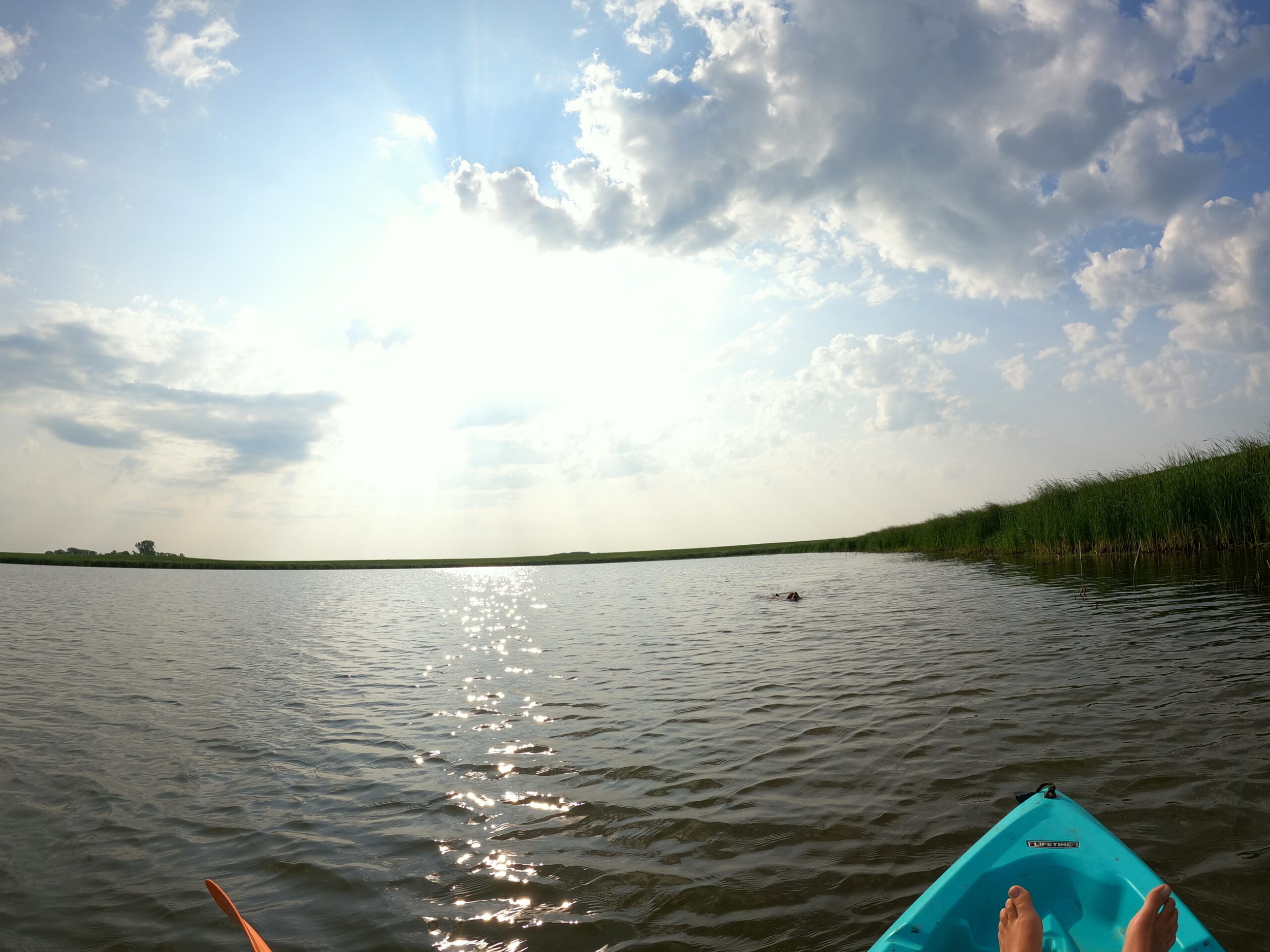 Sweet Contentment in Him.