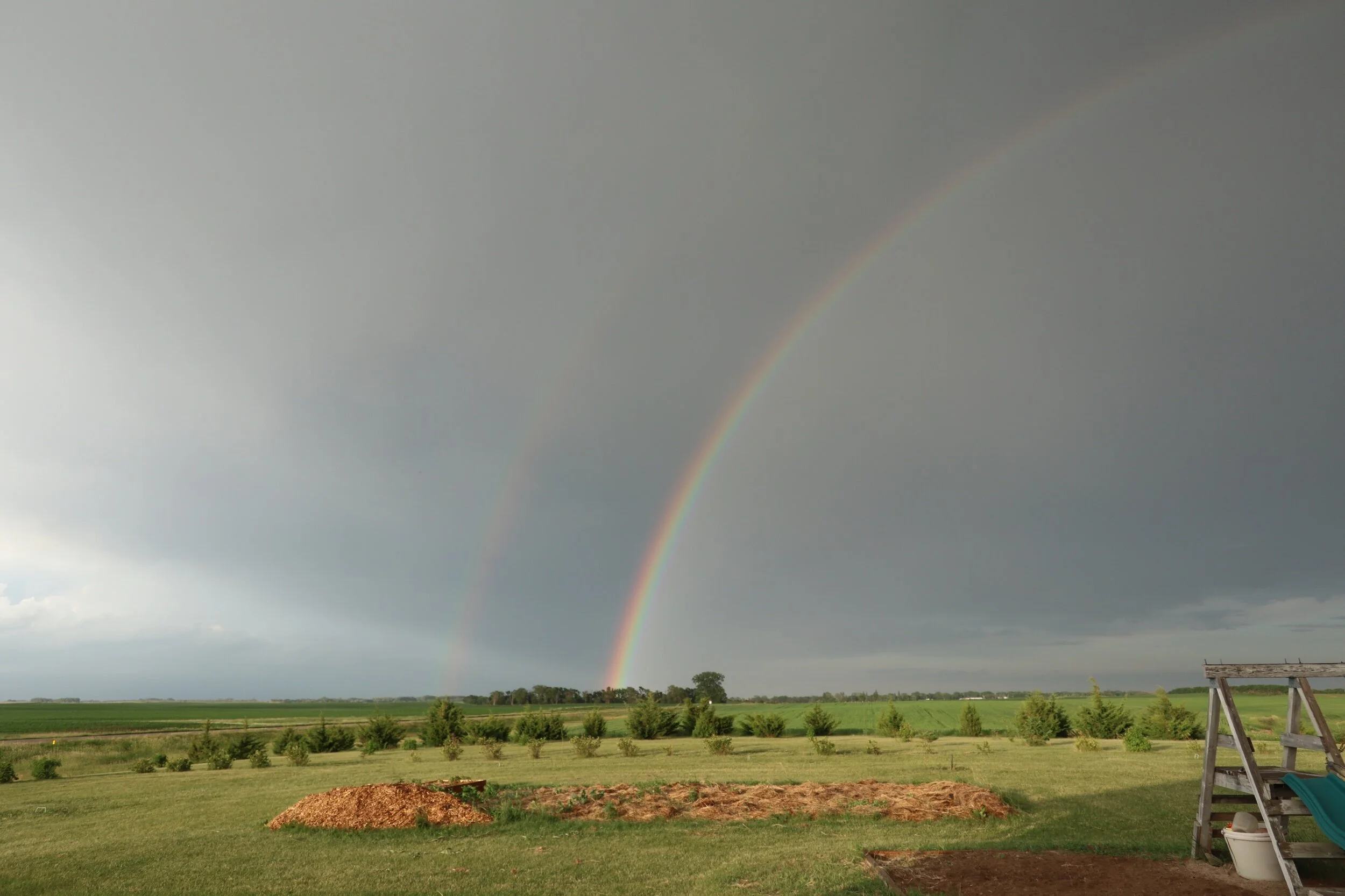 The Darkness Within.