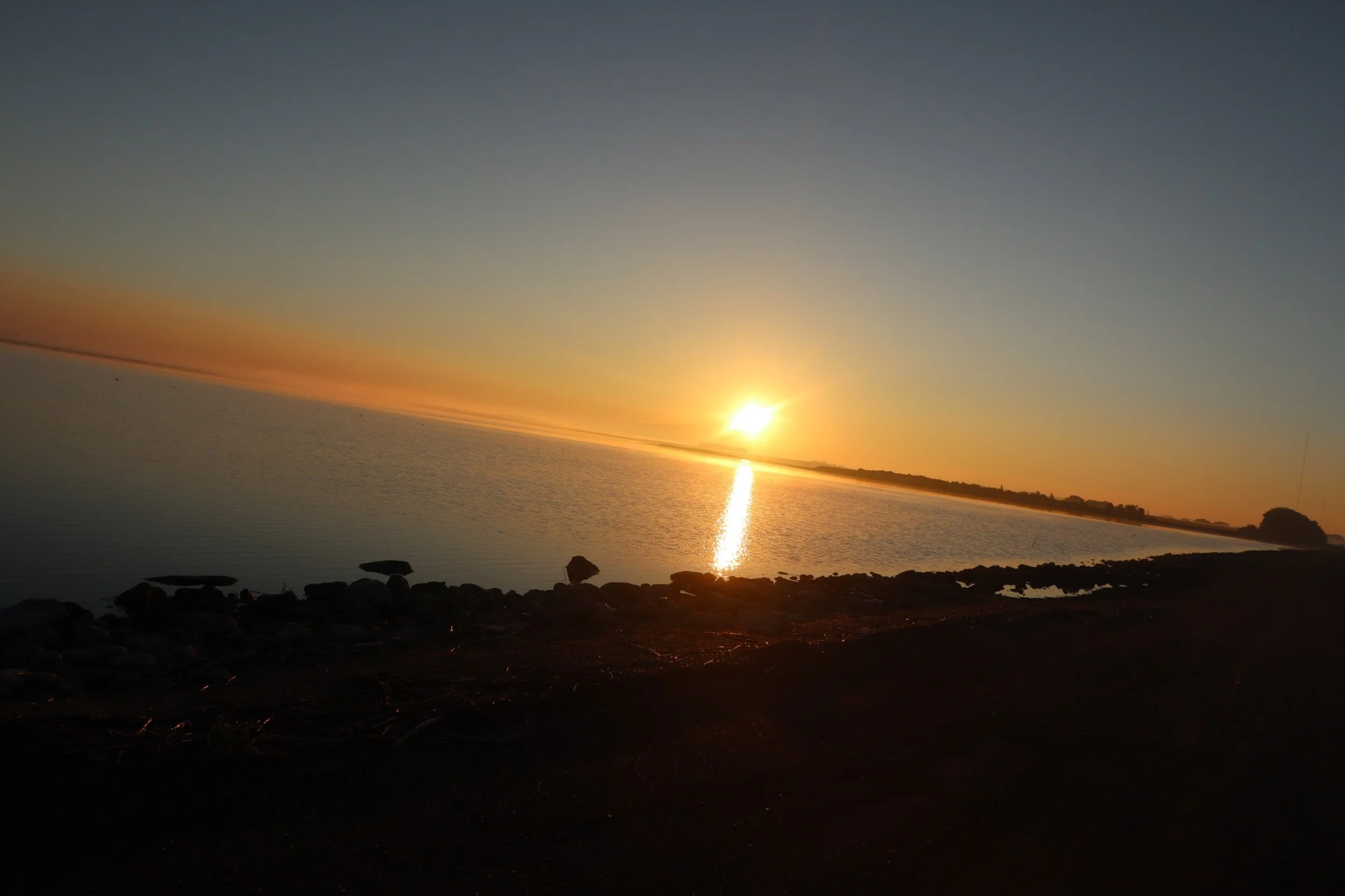 To Set the Burdened Free.