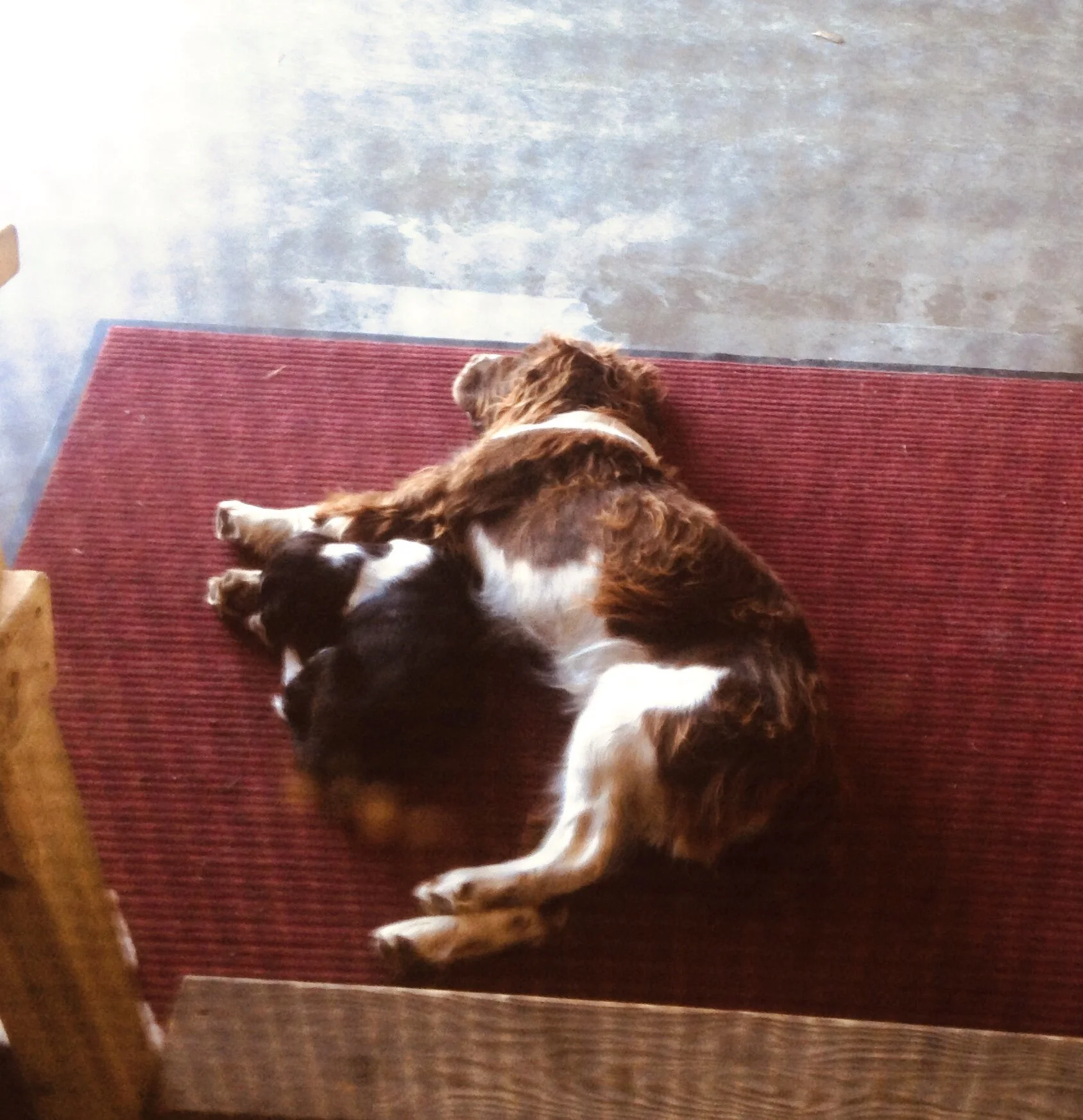 We are blessed because we believe.