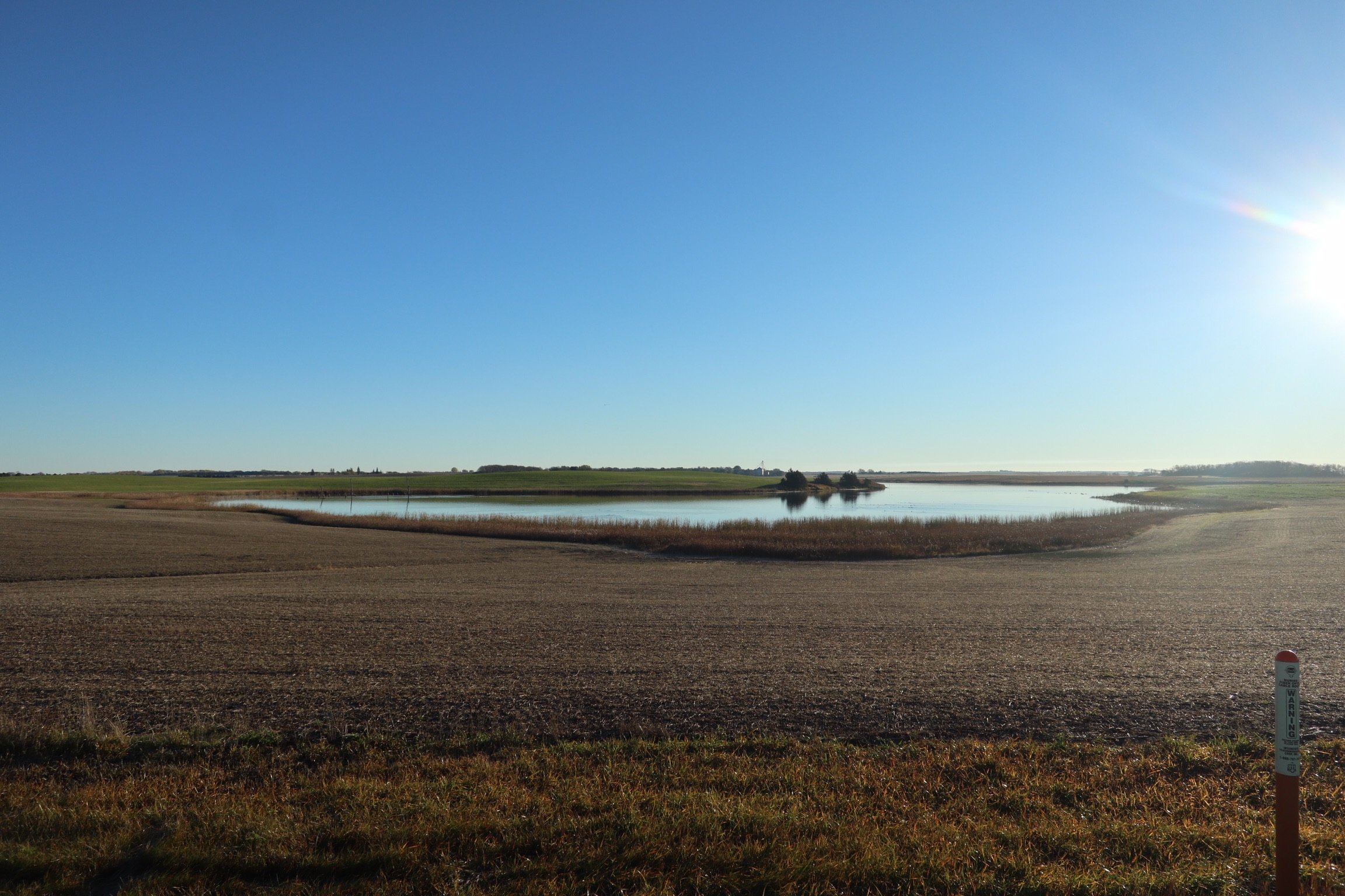 Die to Self, Live to God. A Meditation by Cora C.