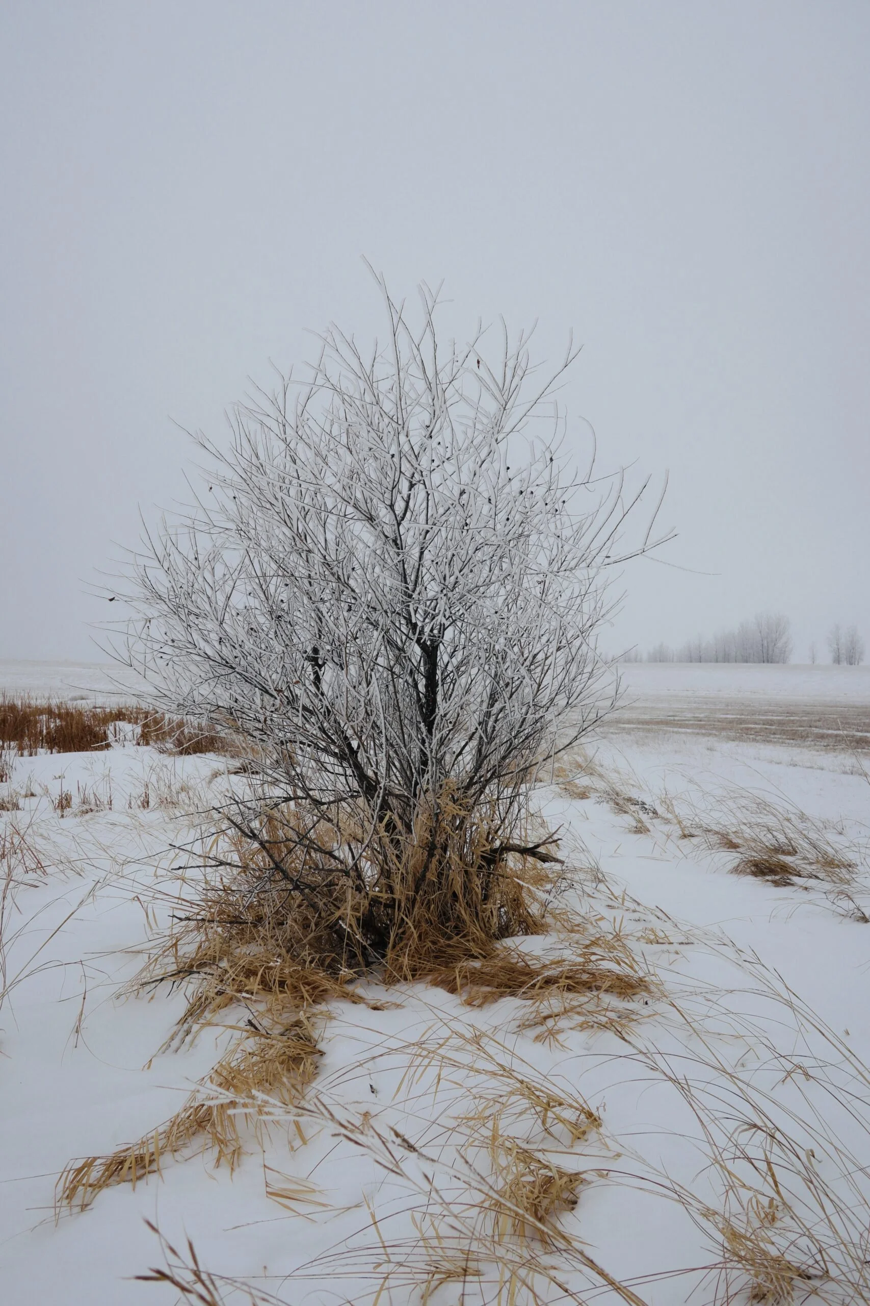 No School Today. Feb 22.